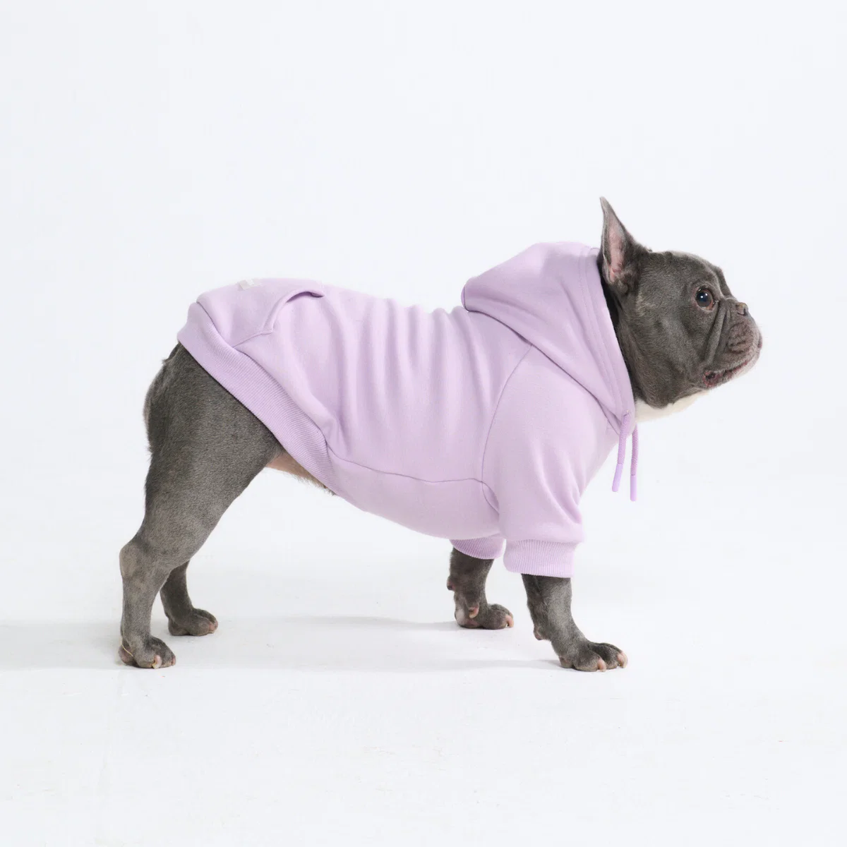 Essential Dog Hoodies - Image 15