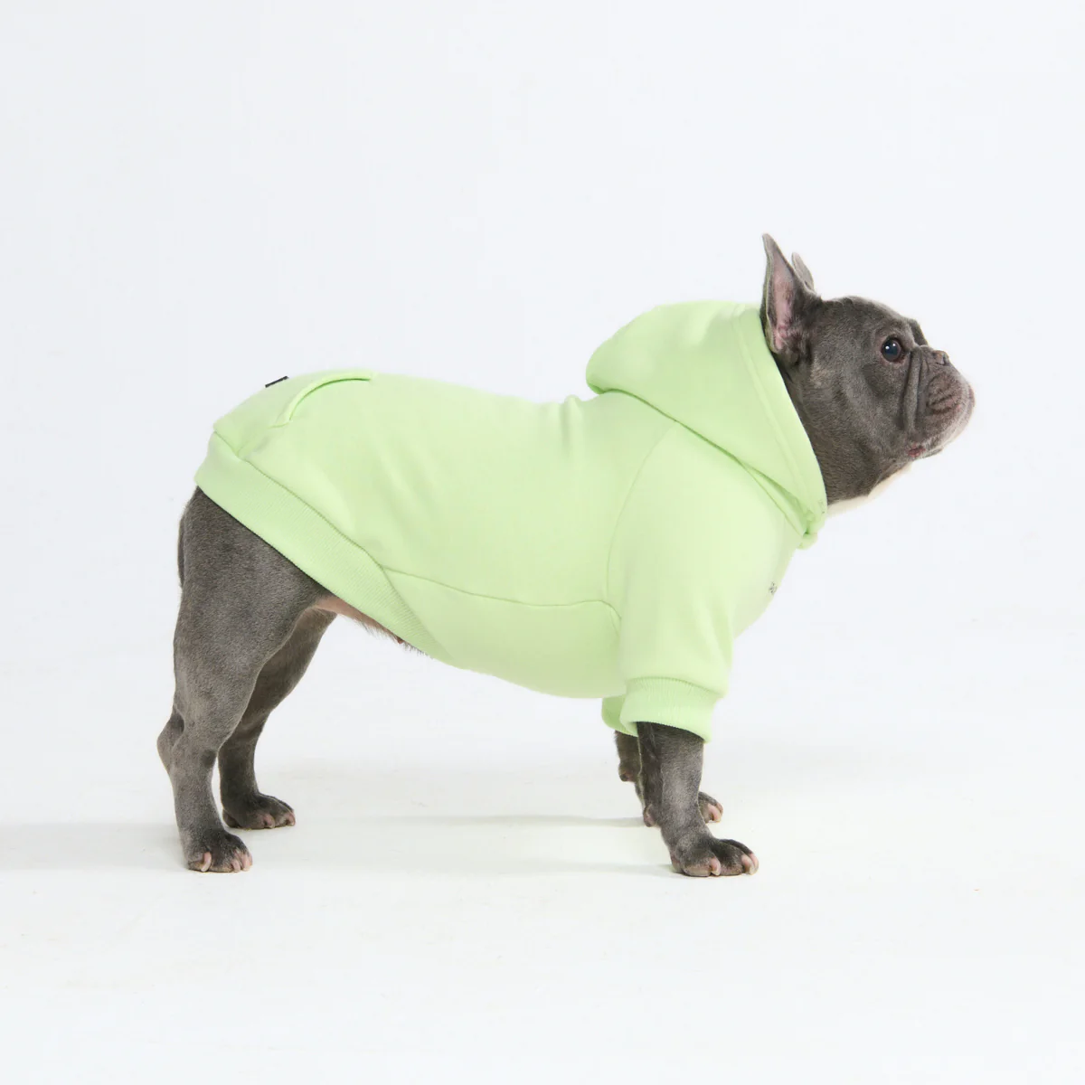 Essential Dog Hoodies - Image 2