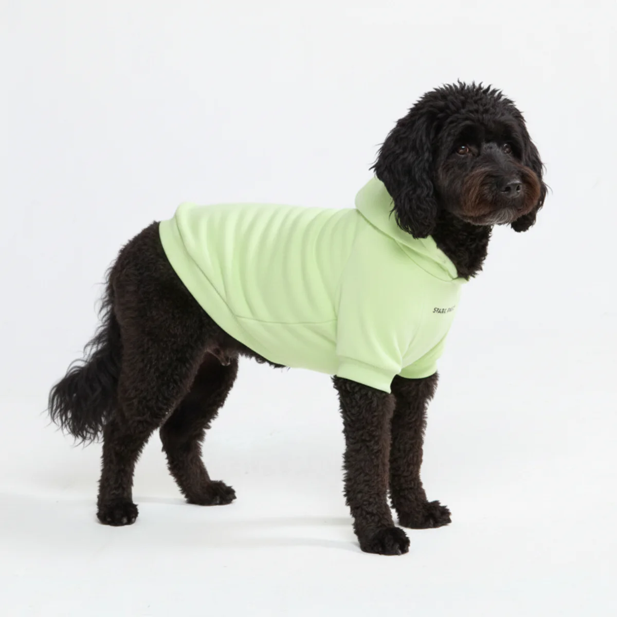 Essential Dog Hoodies - Image 3