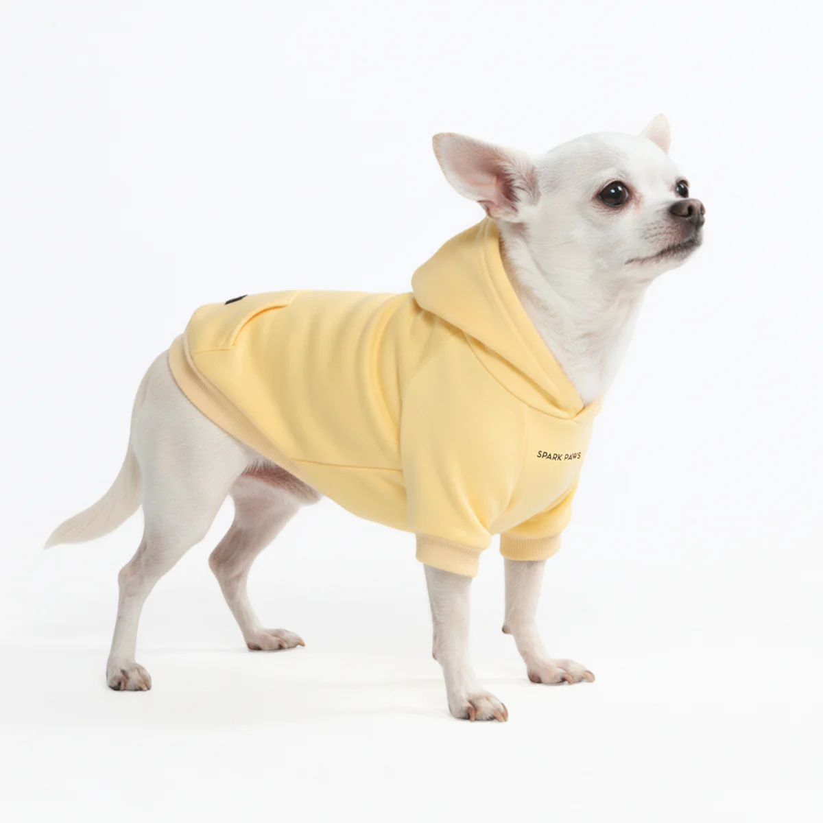 Essential Dog Hoodies - Image 38