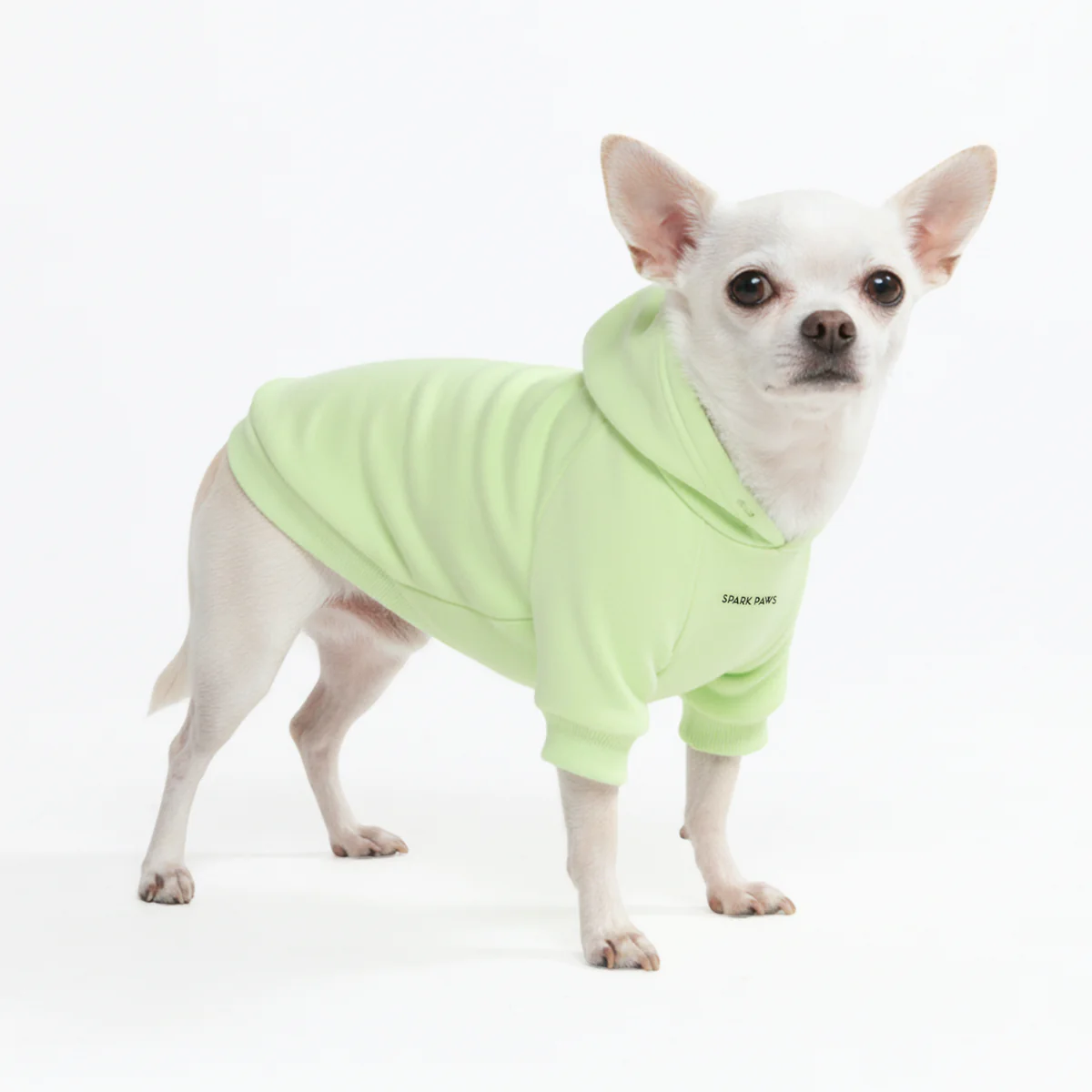 Essential Dog Hoodies - Image 4