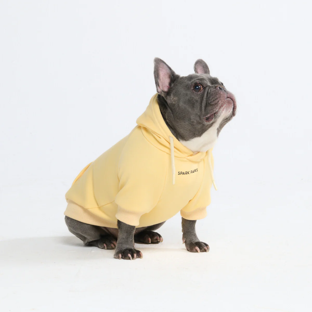 Essential Dog Hoodies - Image 44