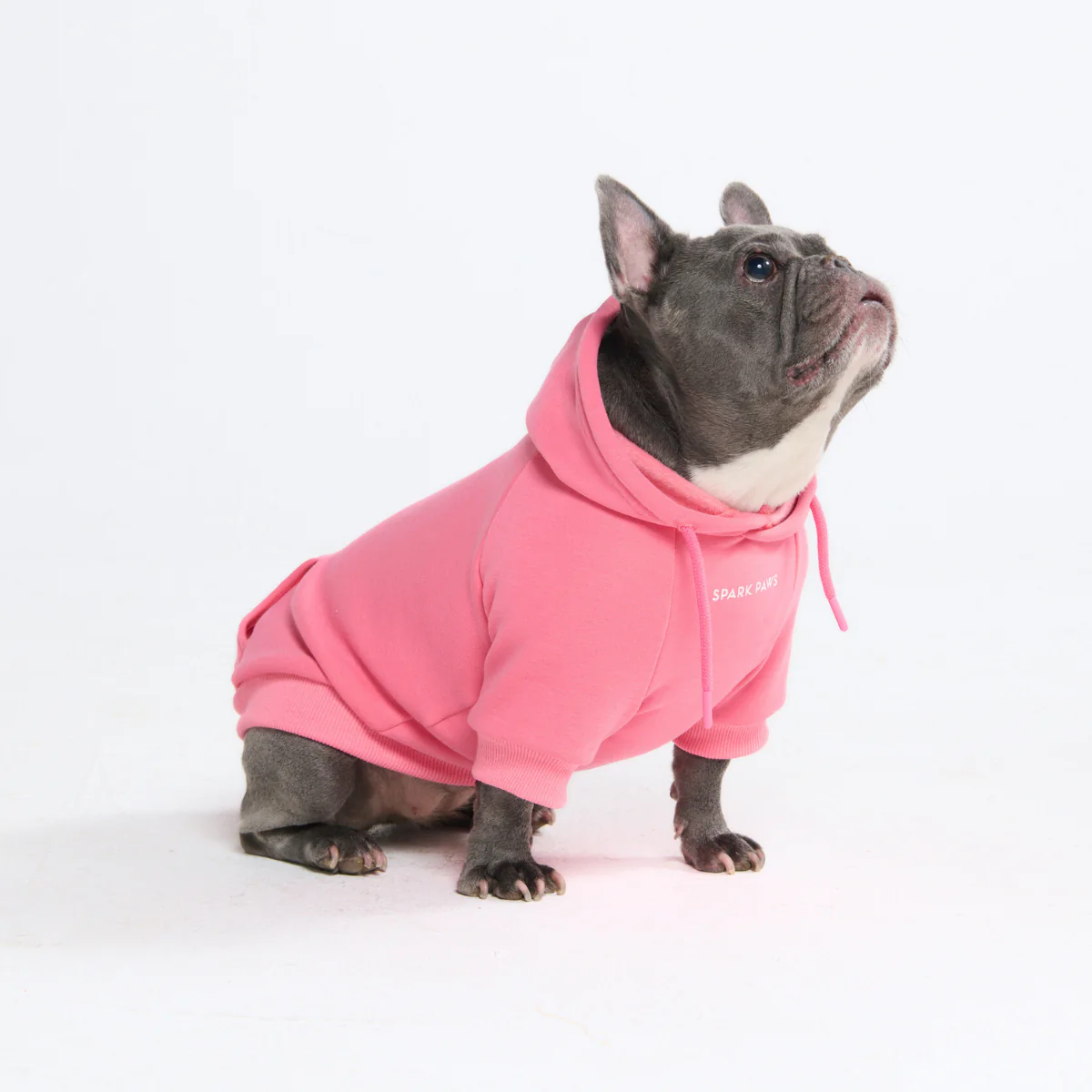 Essential Dog Hoodies - Image 55