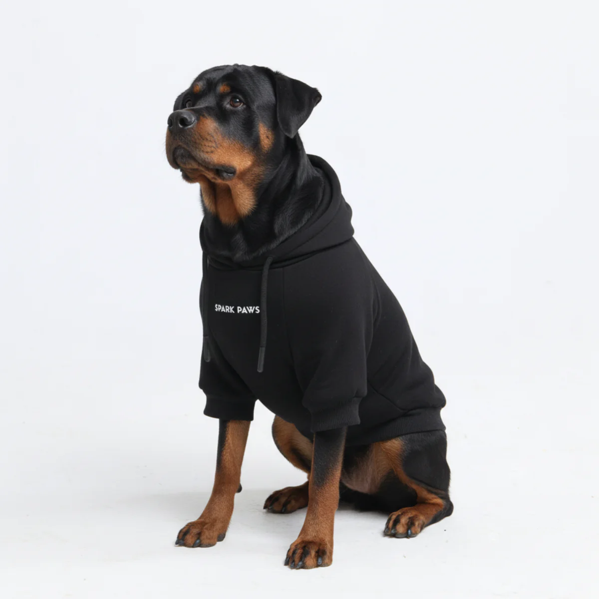 Essential Dog Hoodies - Image 80