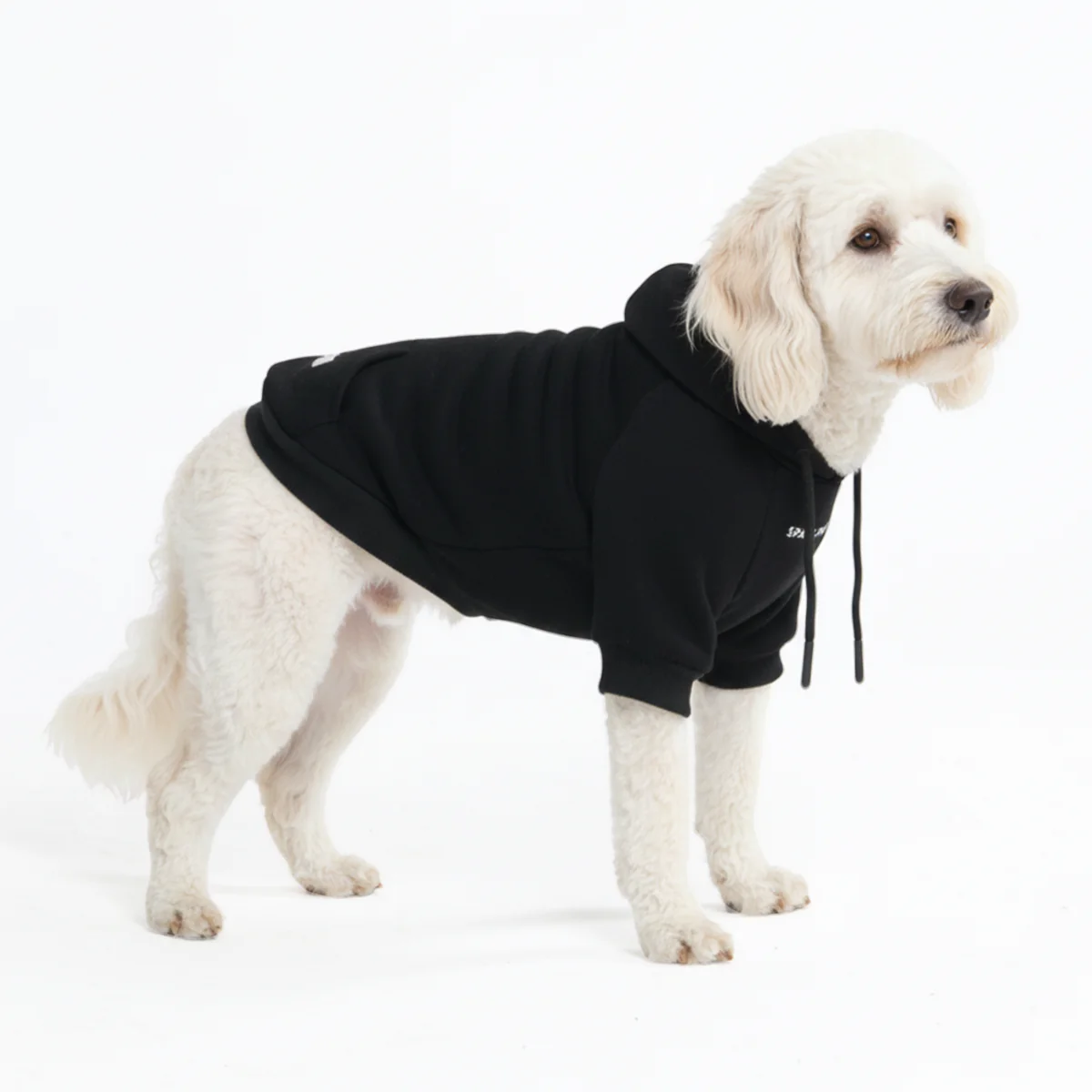Essential Dog Hoodies - Image 84