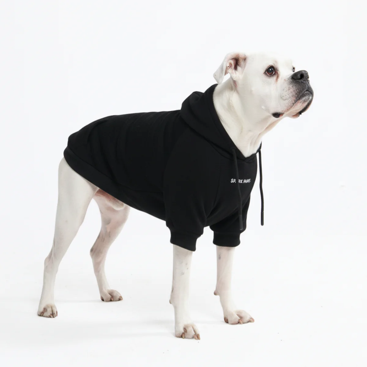 Essential Dog Hoodies - Image 85