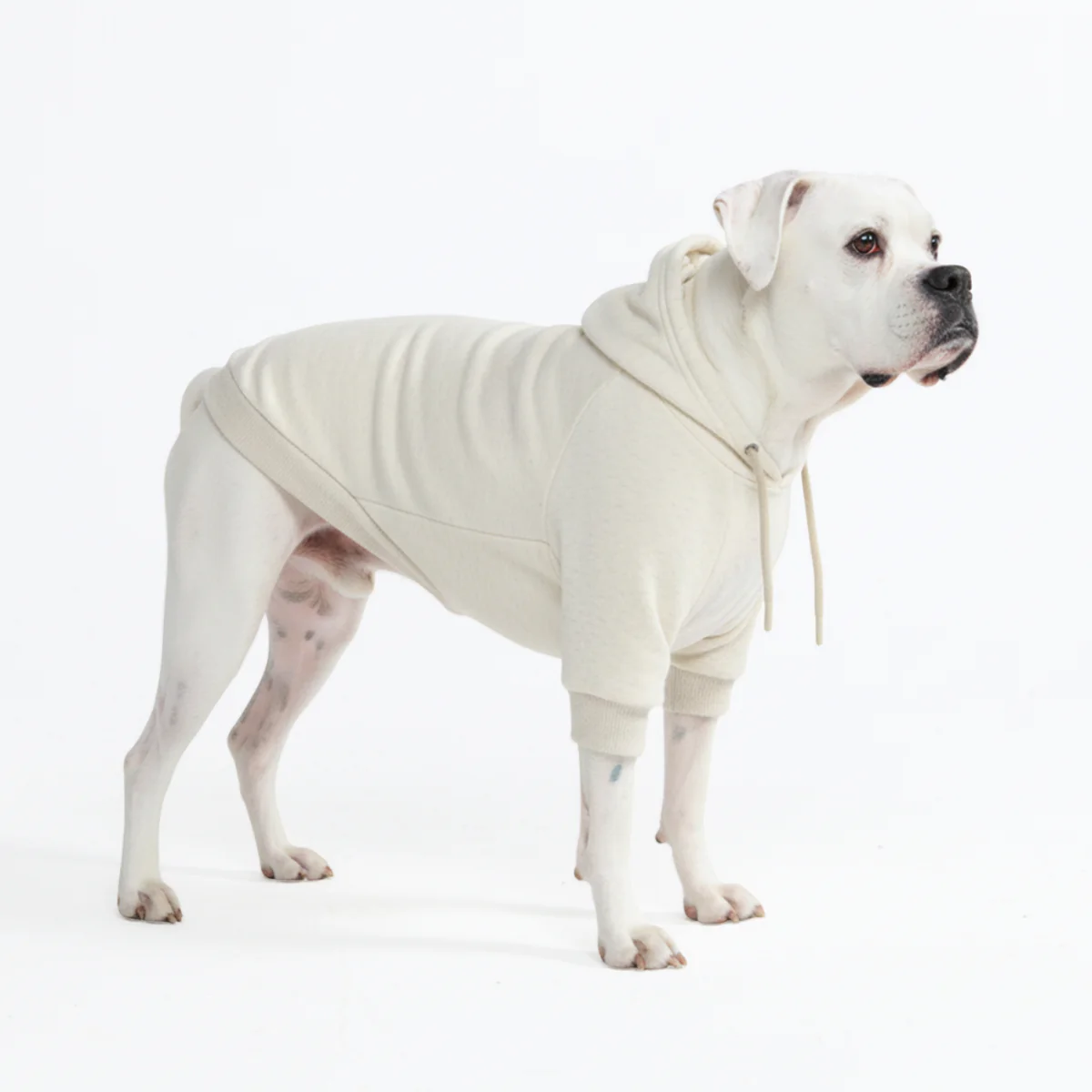 Essential Dog Hoodies - Image 95