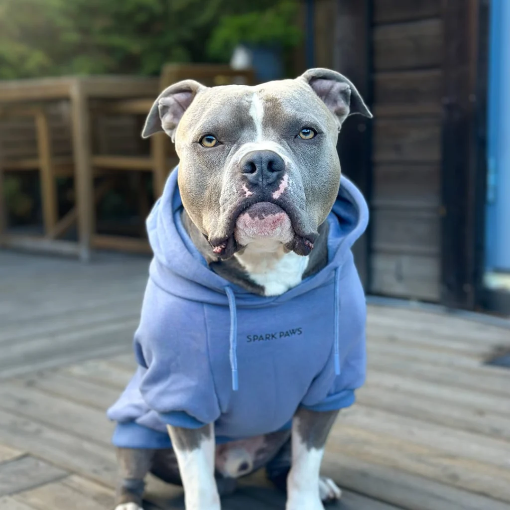 Essential Dog Hoodies - Image 35