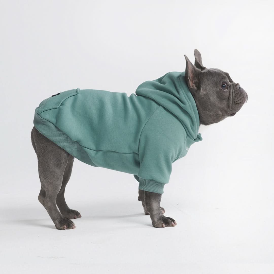 Essential Dog Hoodie - Teal - Image 13