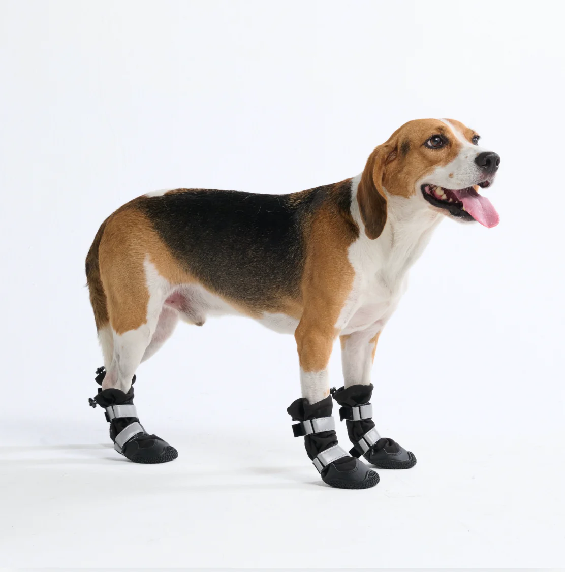 Dog Rainboots, Waterproof Dog Shoes - Black (2) - Image 5