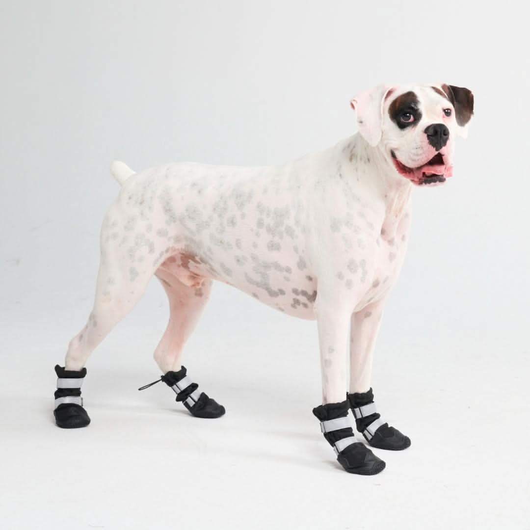 Dog Rainboots, Waterproof Dog Shoes - Black (2) - Image 8