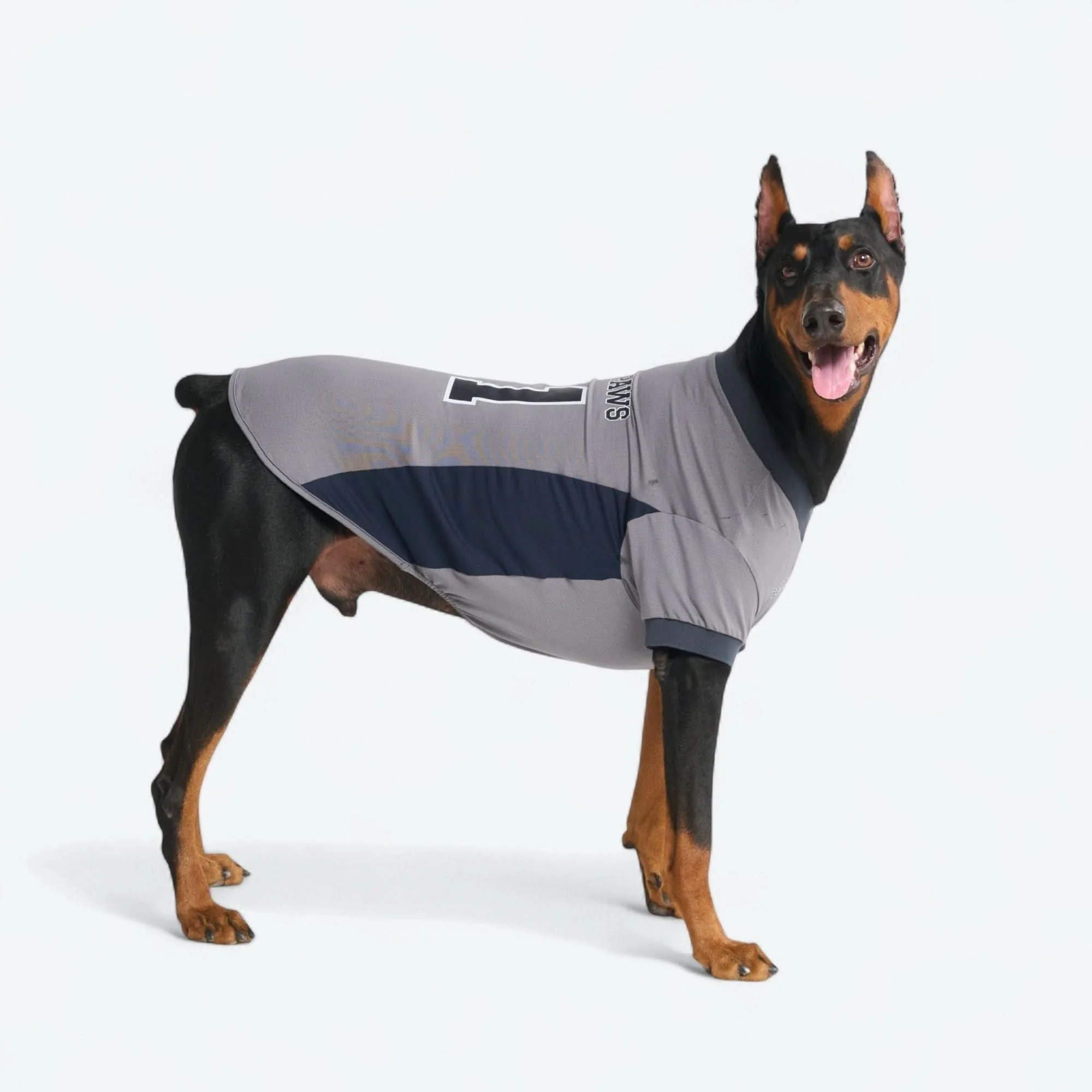 Football Mesh Jersey - Grey - Image 6