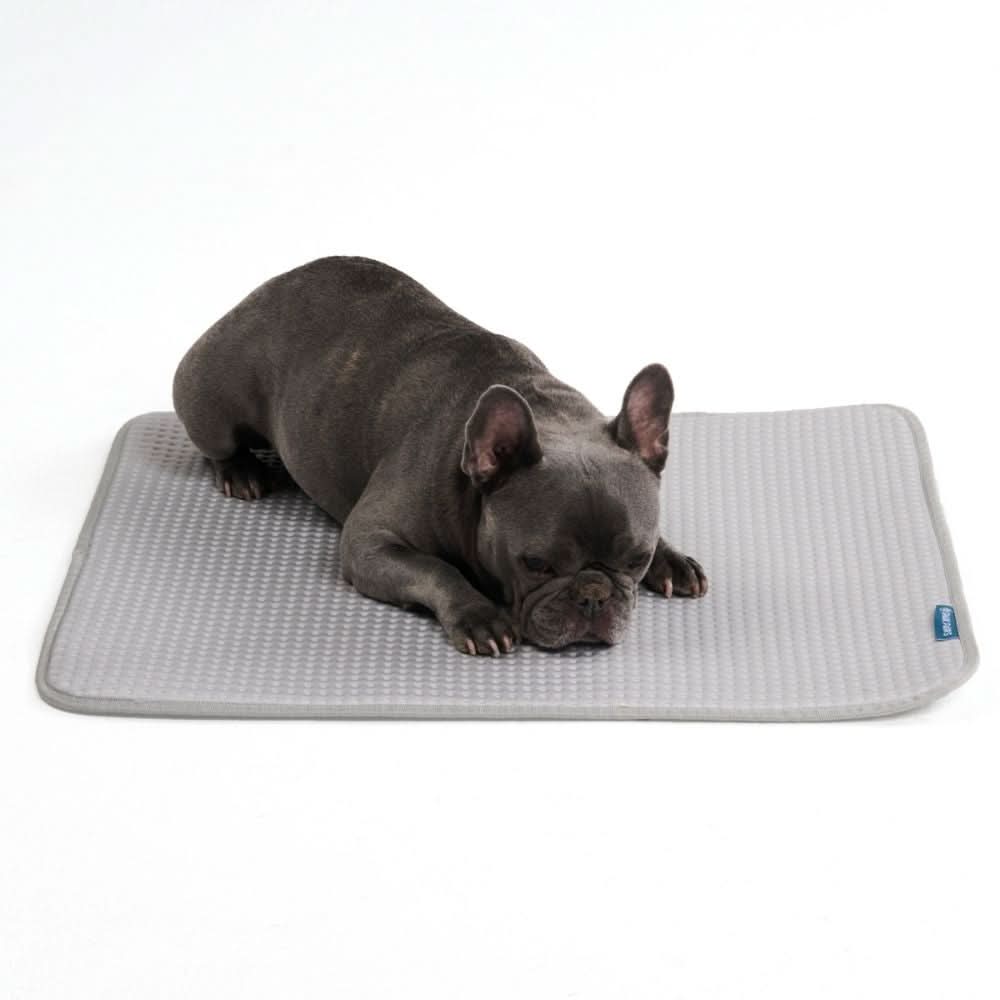 Frostcore™ Cooling Mat - Image 49