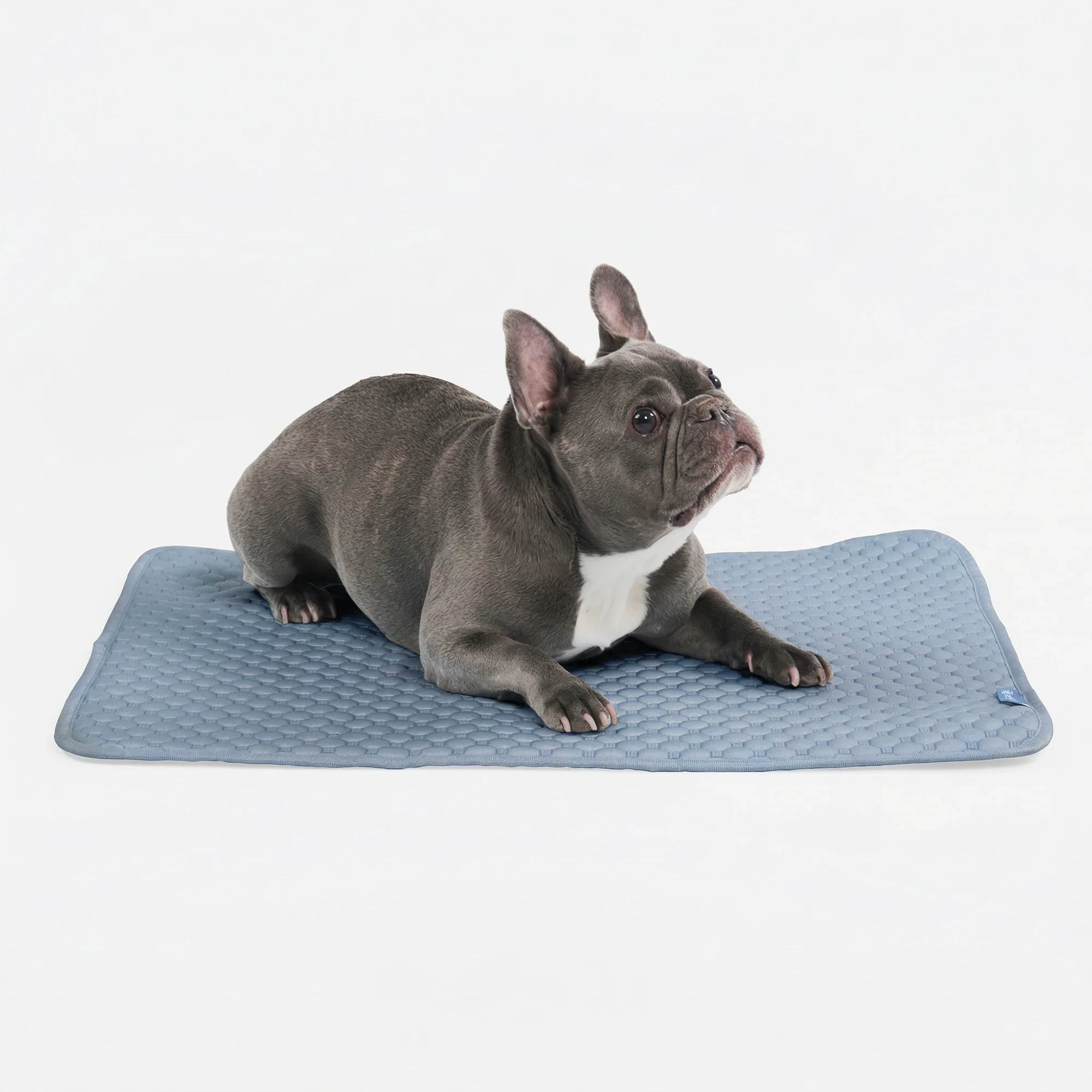 Frostcore™ Cooling Mat - Image 14