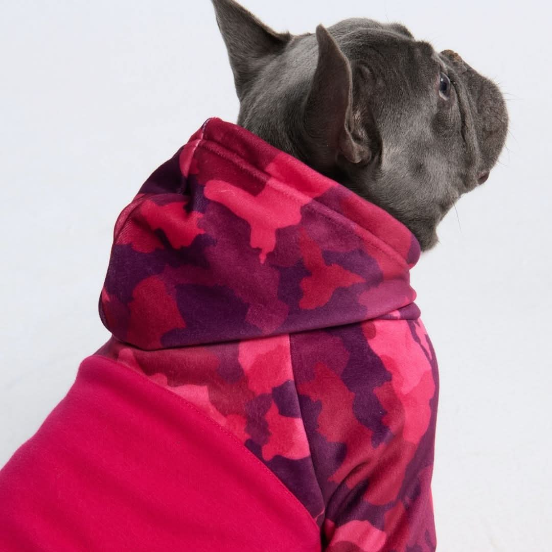 Fuchsia Camo Dog Hoodie - Image 10