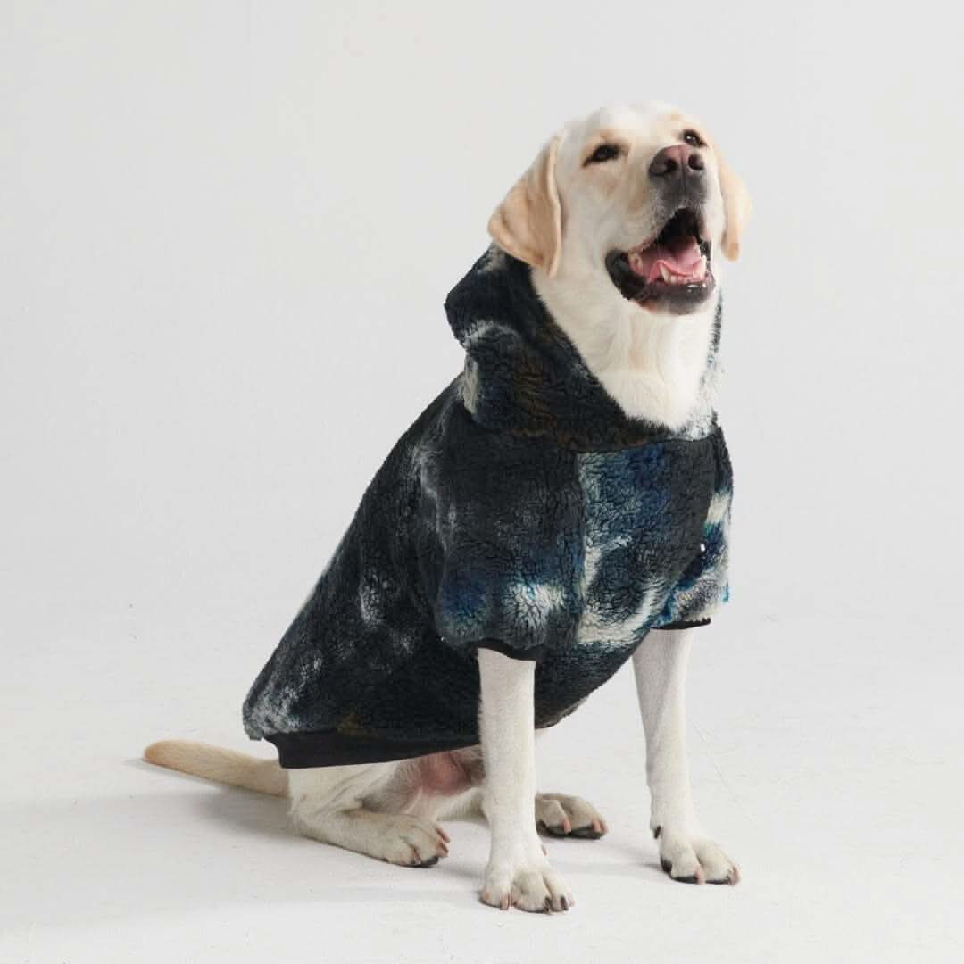 Fluffdreams Blanket Dog Hoodies - Image 15