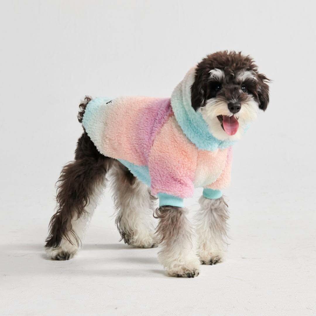 Fluffdreams Blanket Dog Hoodies - Image 8