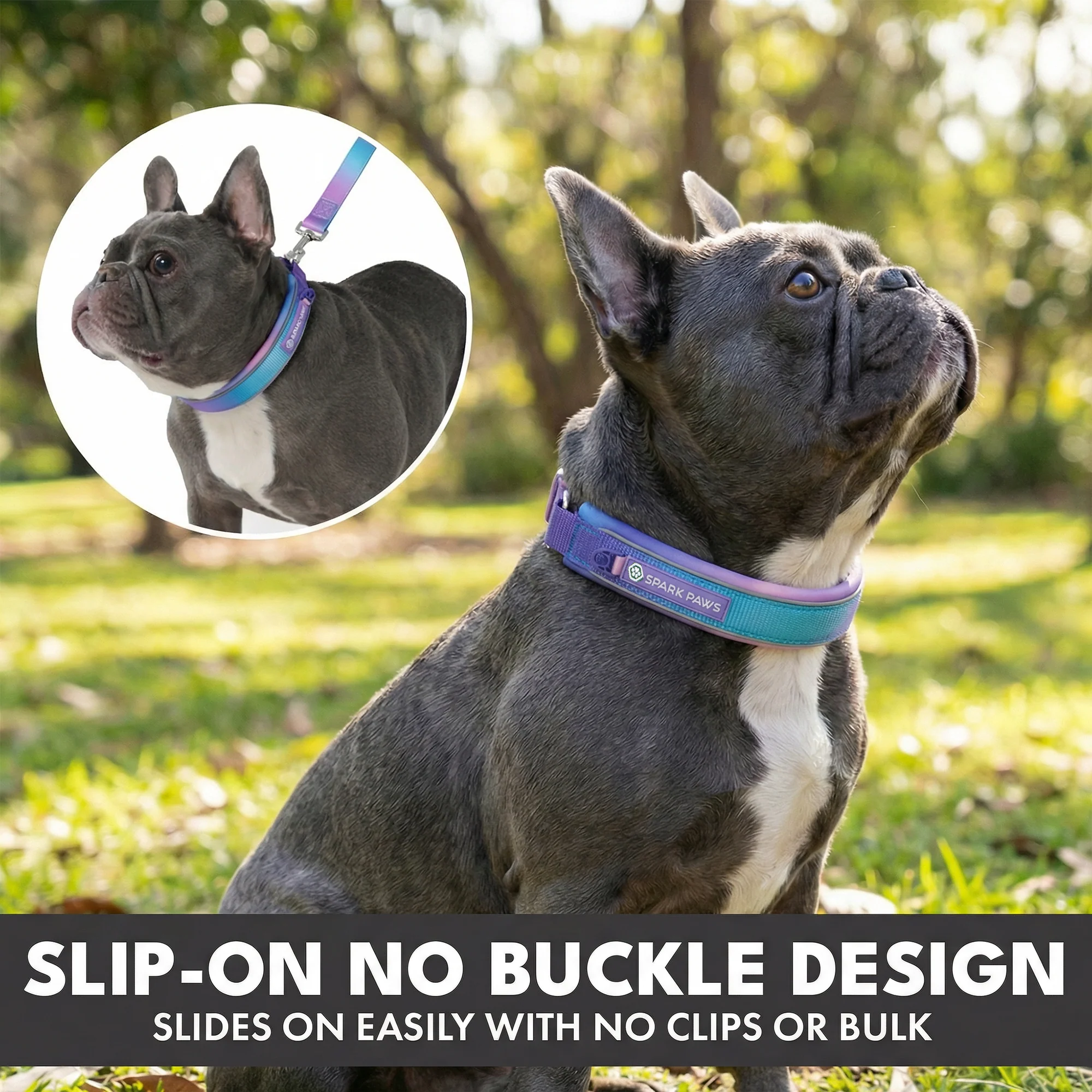 Martingale Collar and Multipurpose Leash Sets - Image 14