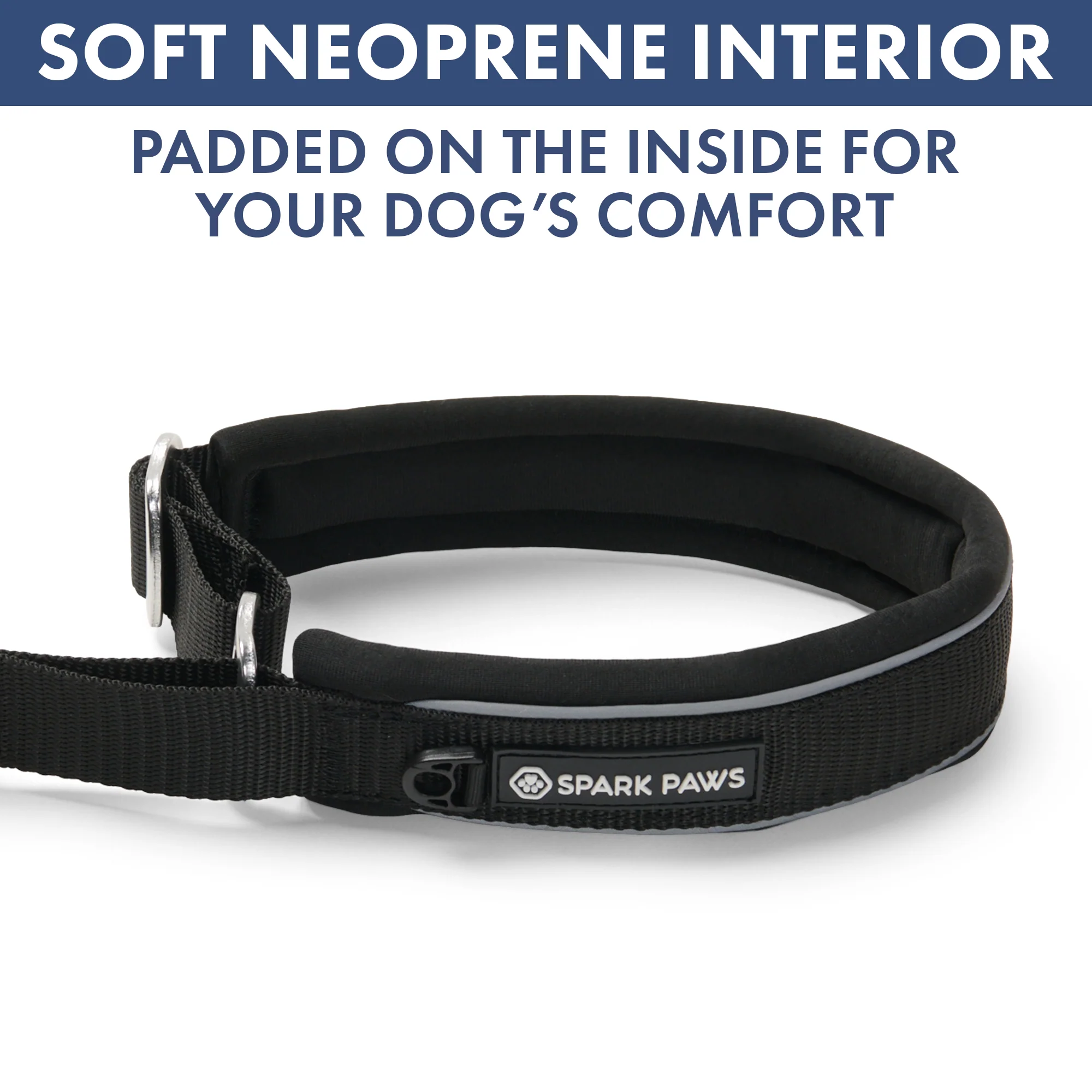 Martingale Collar and Multipurpose Leash Set - Black - Image 6