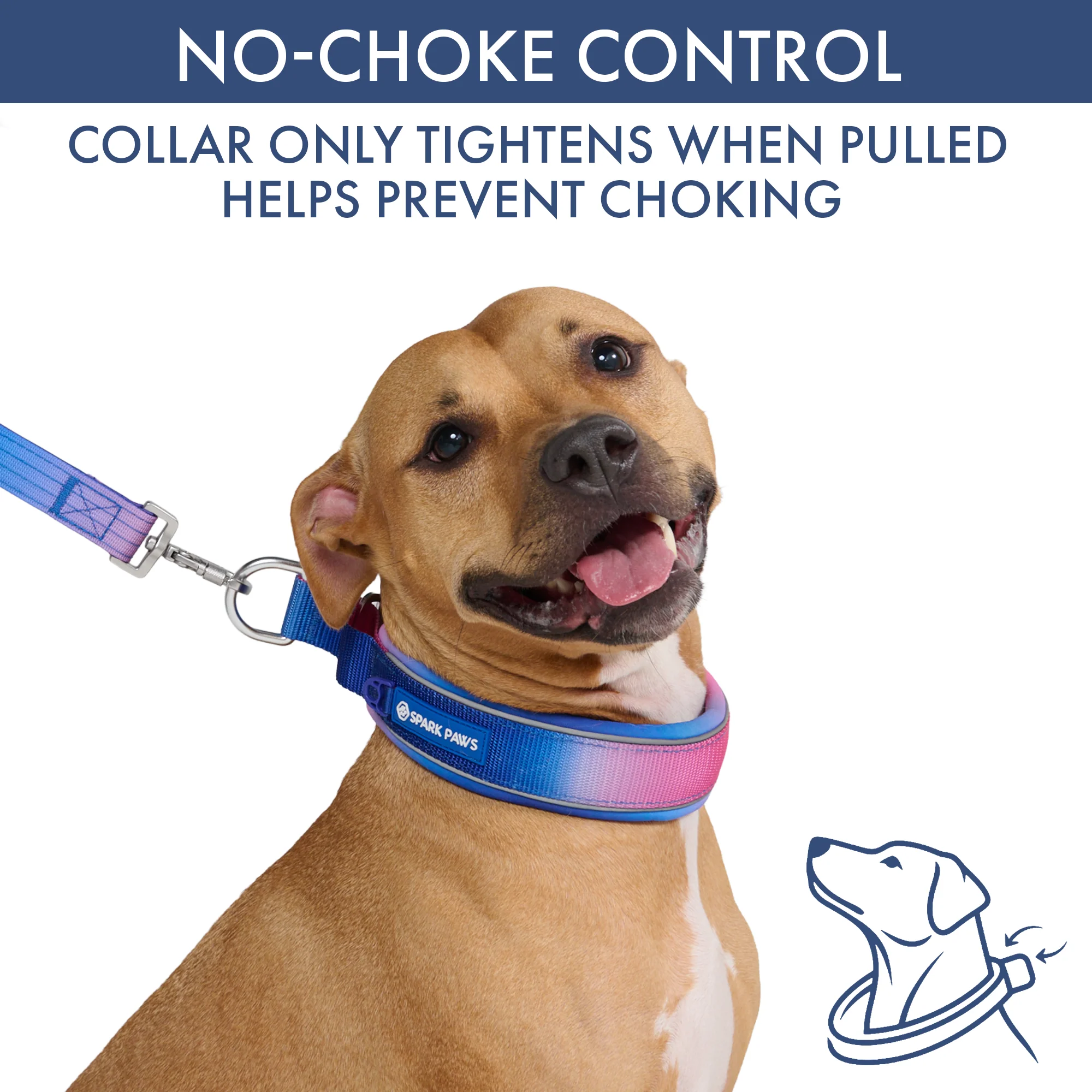 Martingale Collar and Multipurpose Leash Sets - Image 53