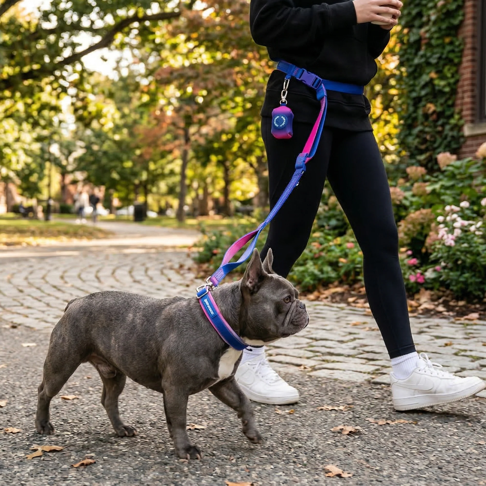 Martingale Collar and Multipurpose Leash Sets - Image 60