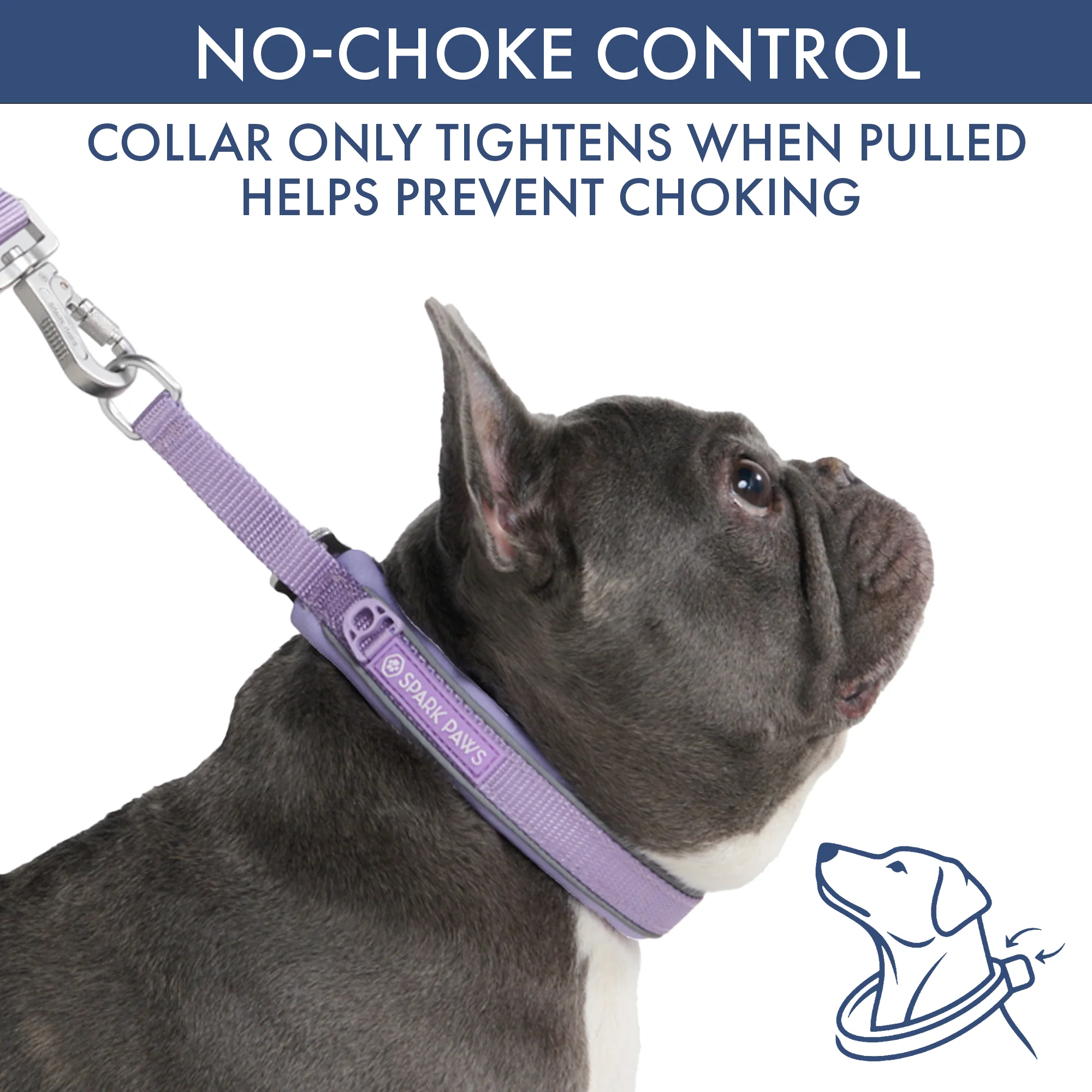 Martingale Collar and Multipurpose Leash Set - Lilac - Image 2