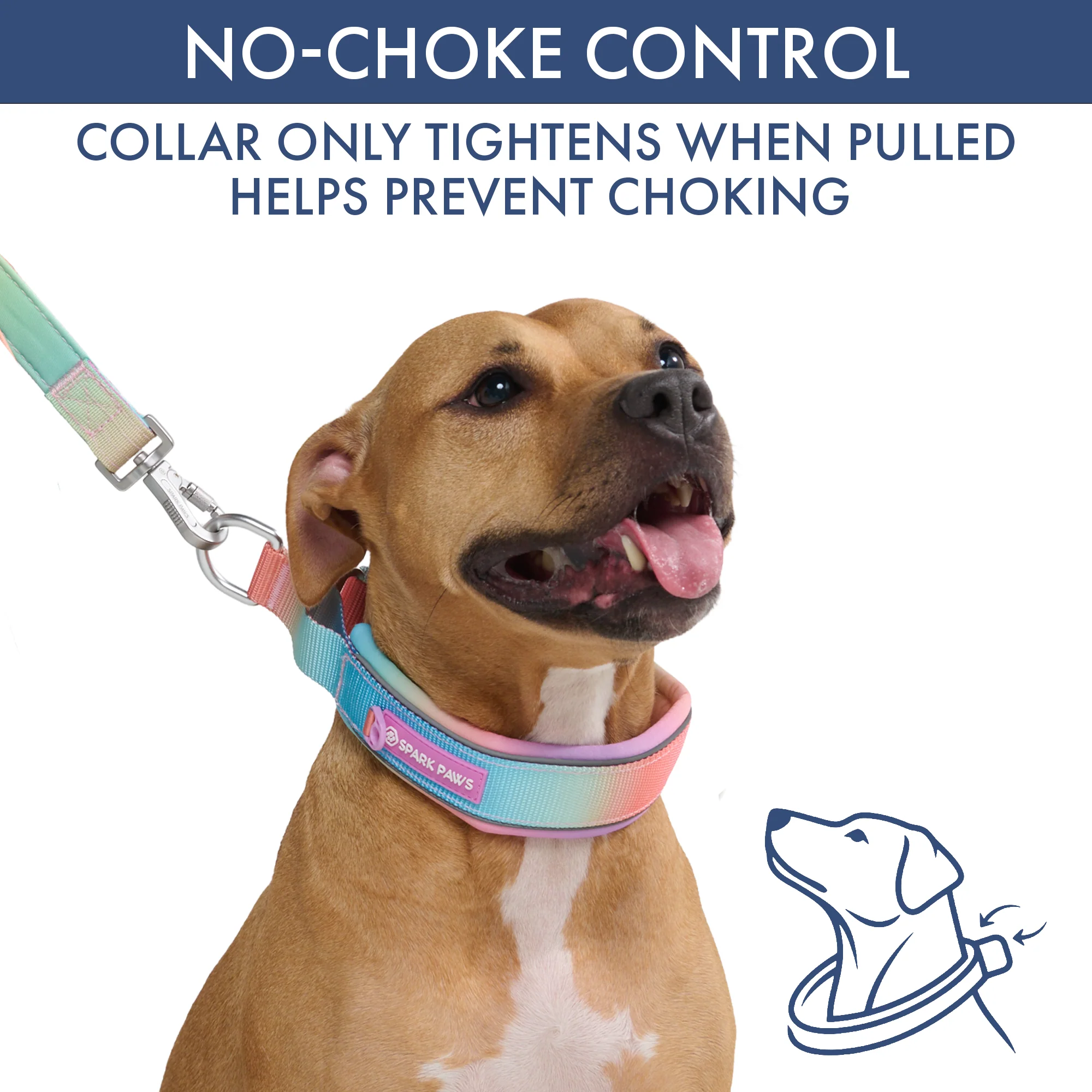 Martingale Collar Sets - Image 23