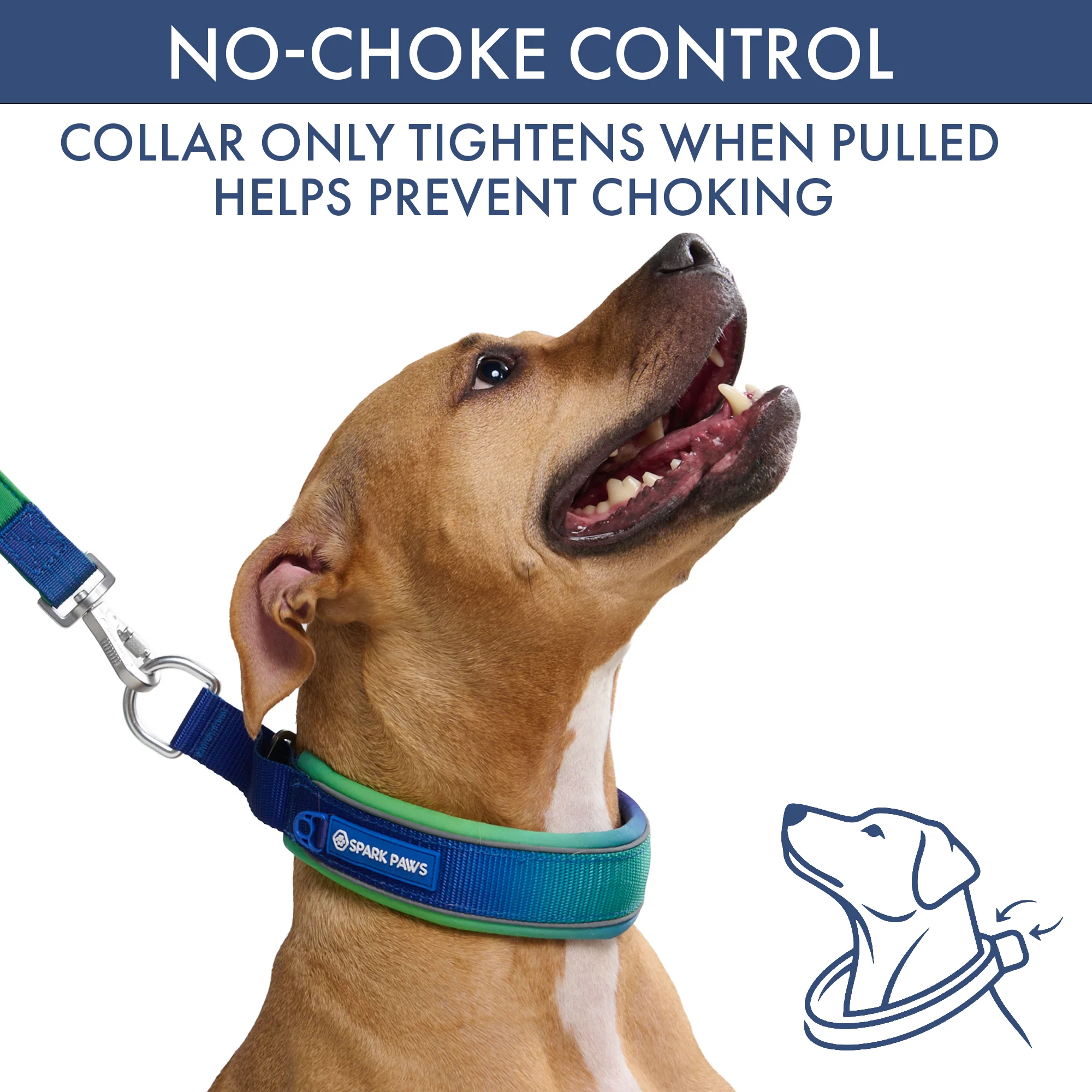 Martingale Collar Sets - Image 33