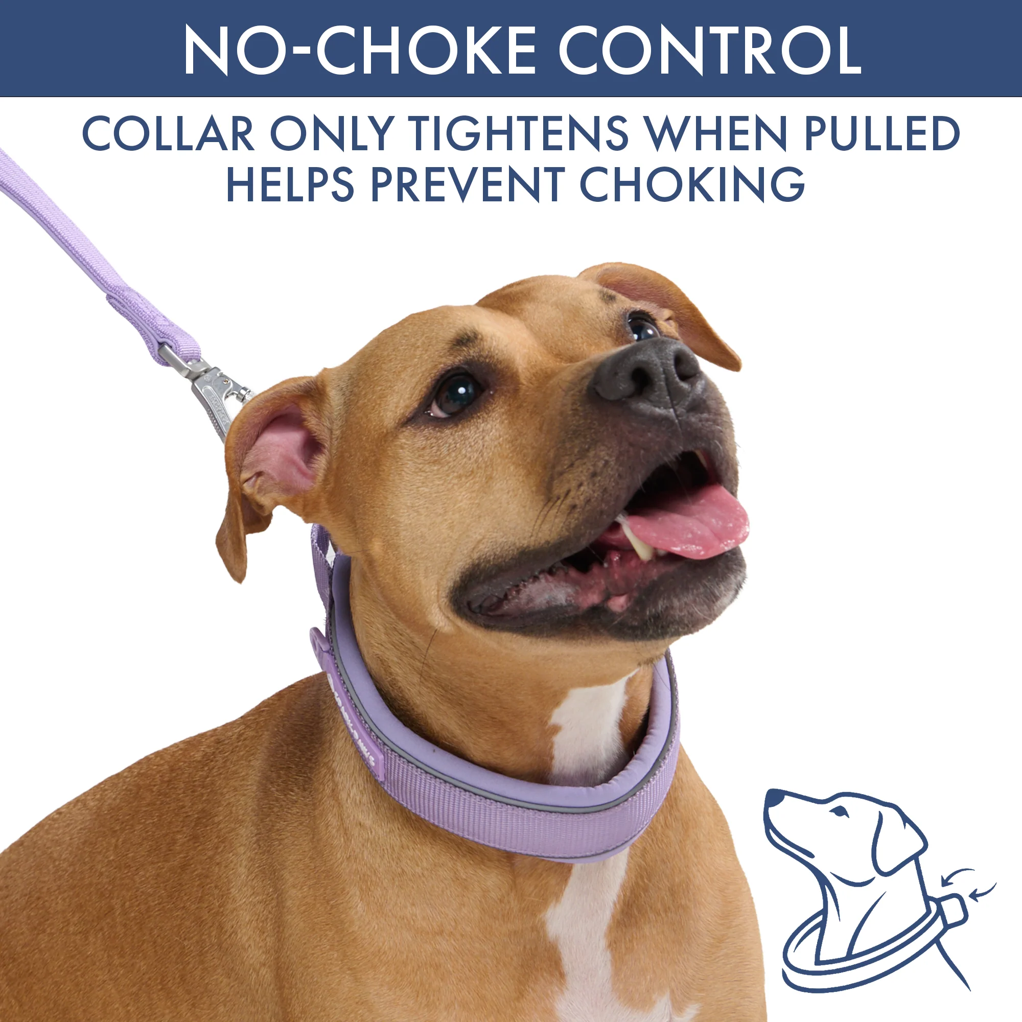 Martingale Collar Sets - Image 63
