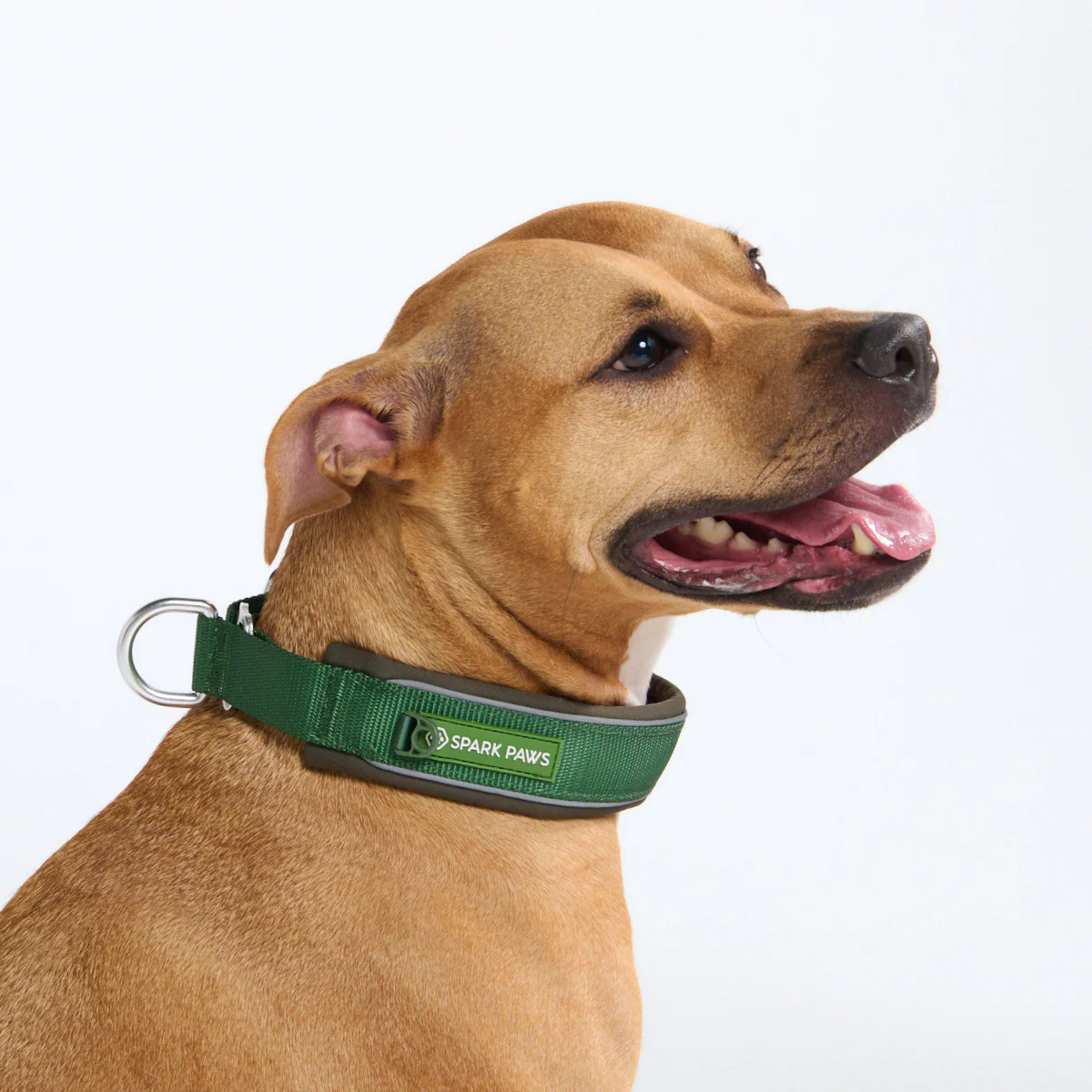 Cushioned Martingale Collar - Army Green - Image 9