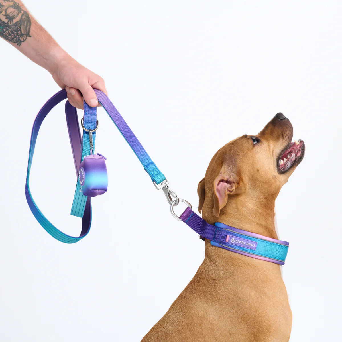 Cushioned Martingale Collars - Image 10