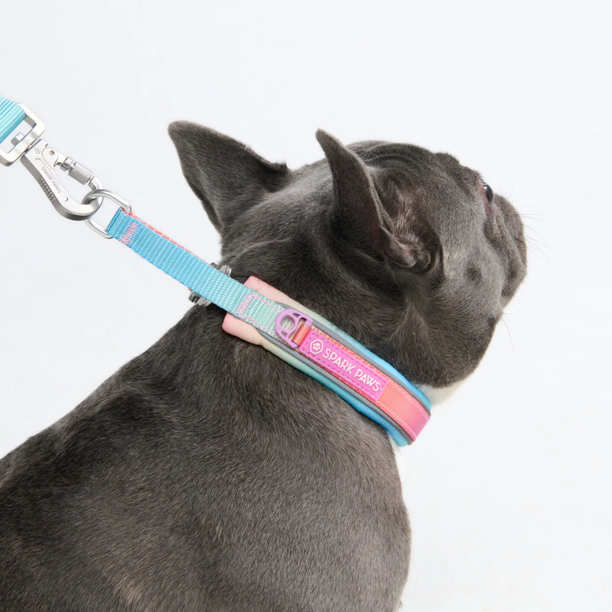 Cushioned Martingale Collars - Image 14