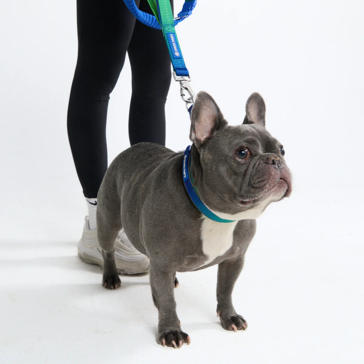 Cushioned Martingale Collars - Image 27