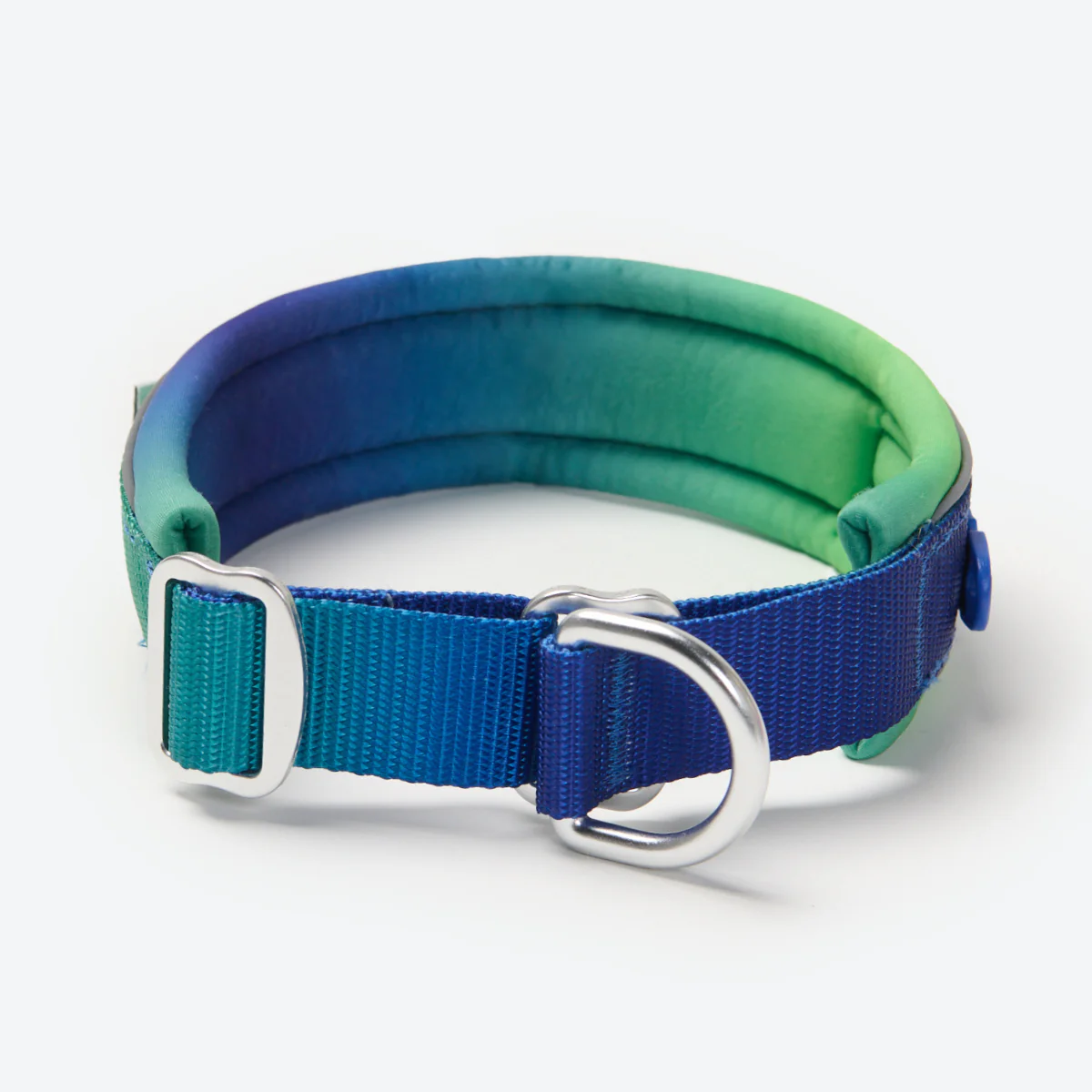 Cushioned Martingale Collars - Image 29