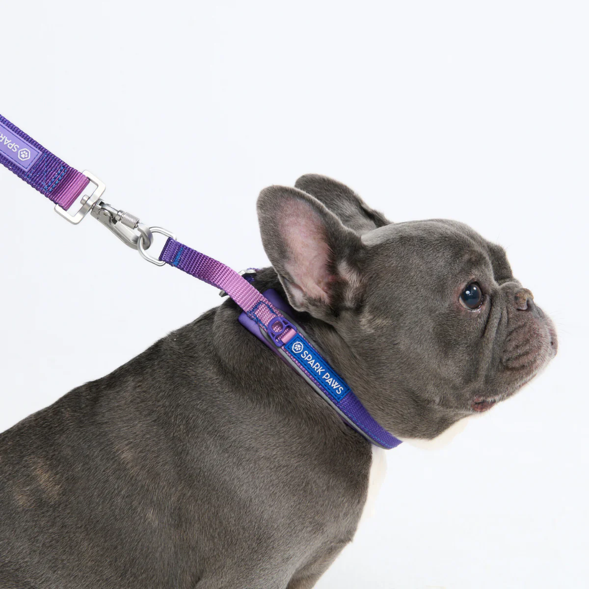 Cushioned Martingale Collars - Image 3