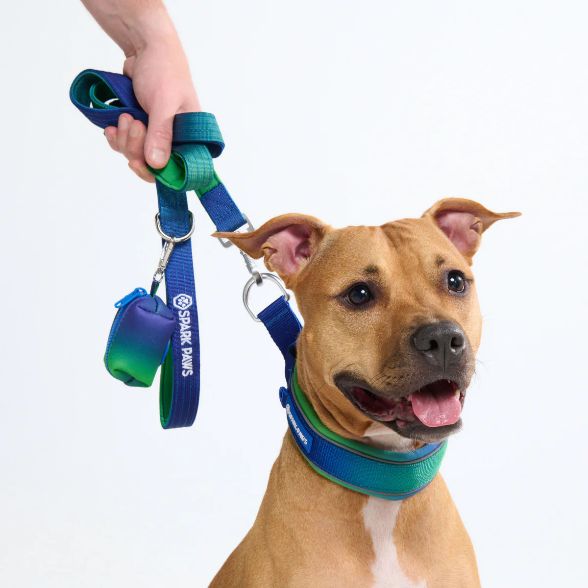 Cushioned Martingale Collars - Image 32