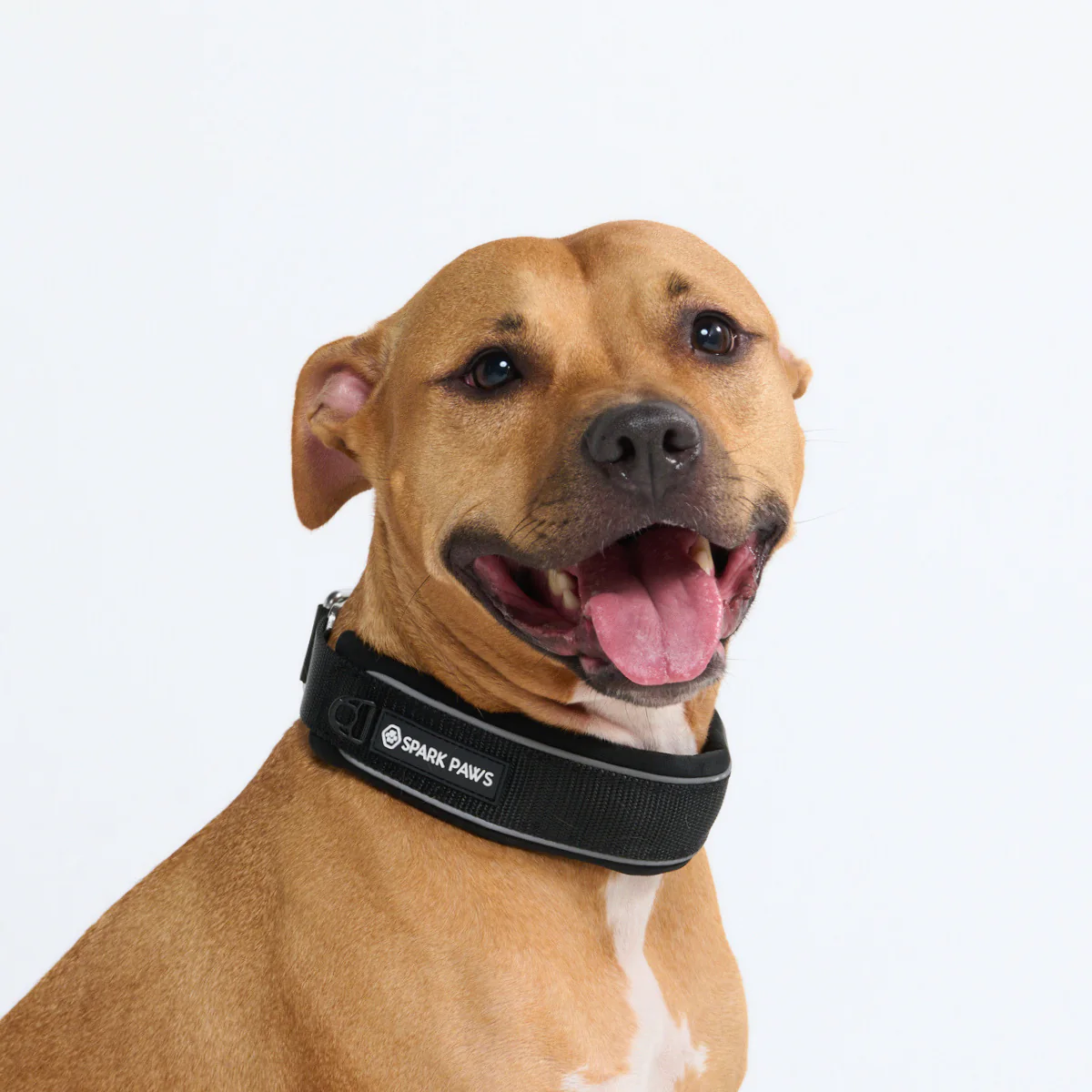 Cushioned Martingale Collars - Image 41