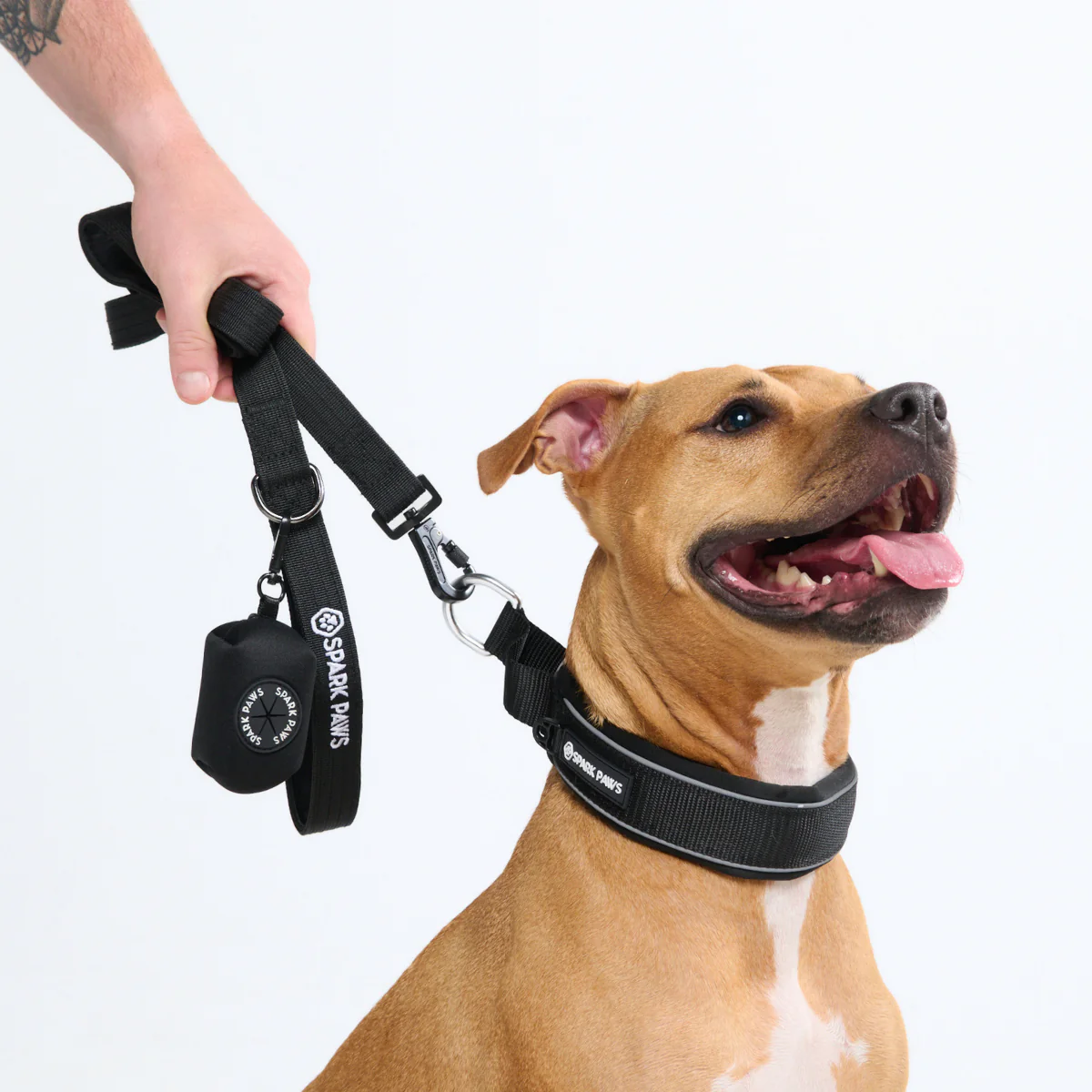 Cushioned Martingale Collars - Image 42