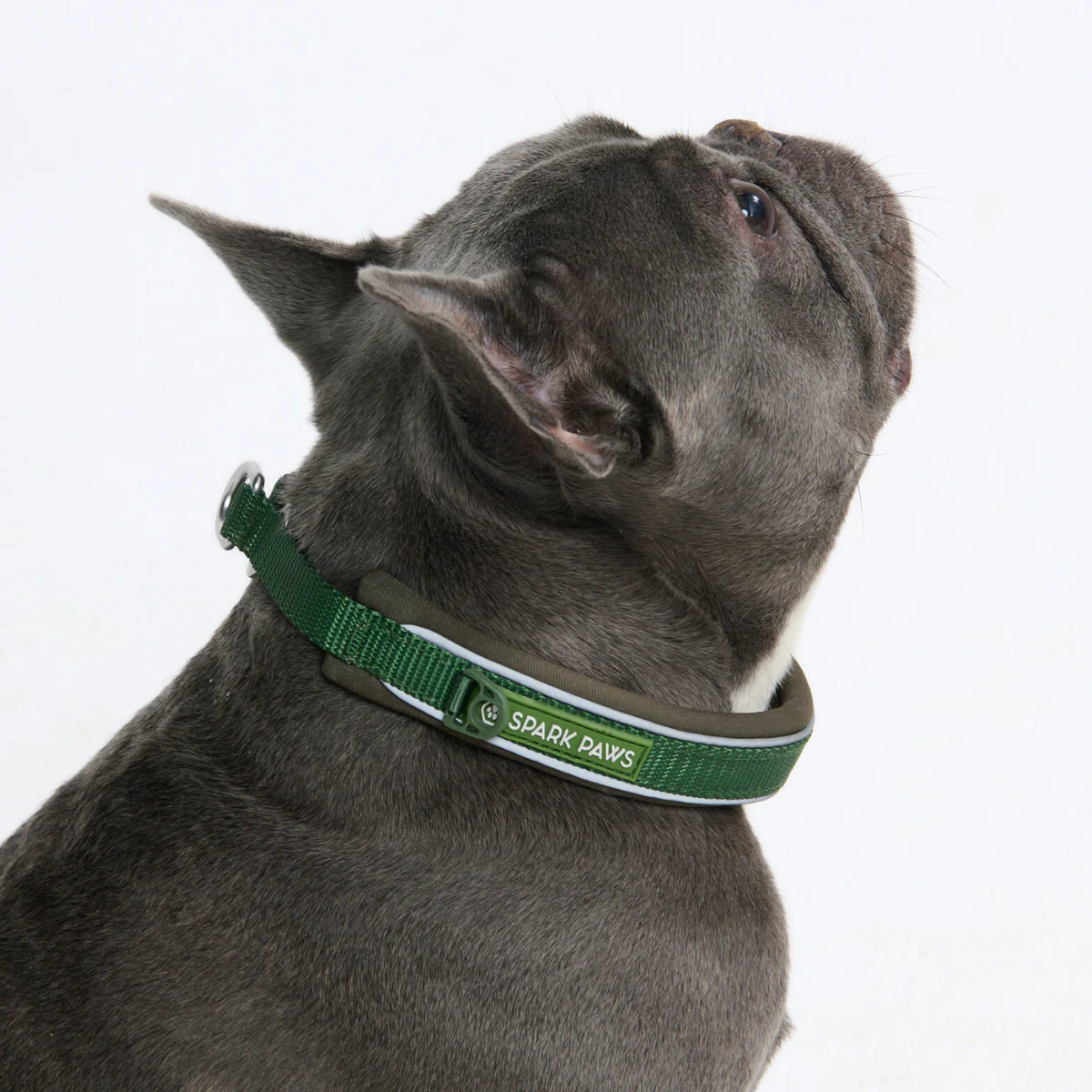 Cushioned Martingale Collars - Image 47
