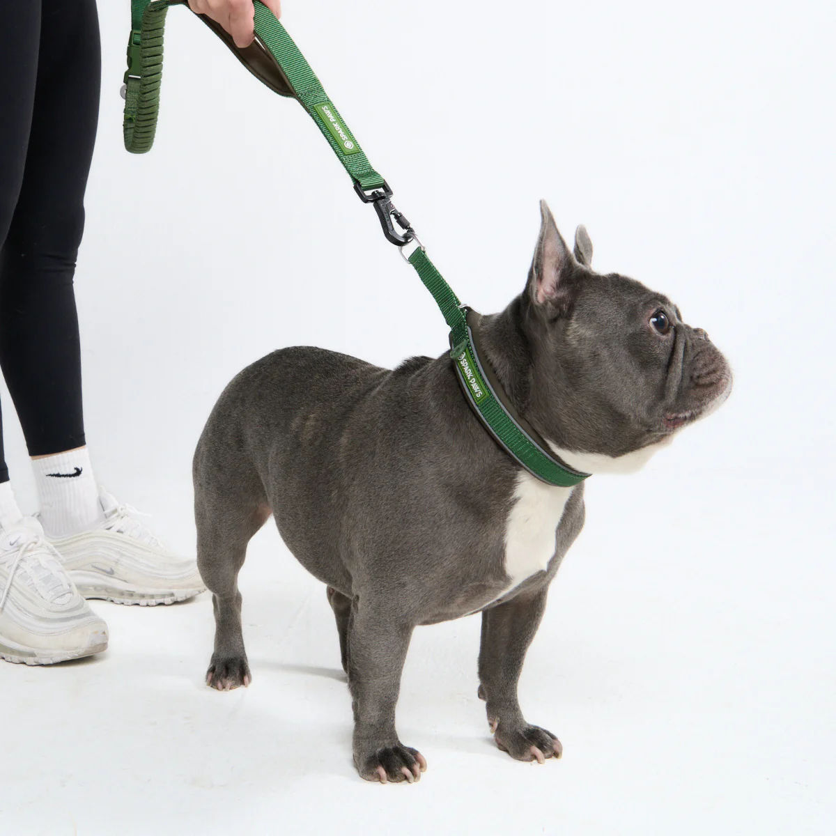 Cushioned Martingale Collars - Image 48