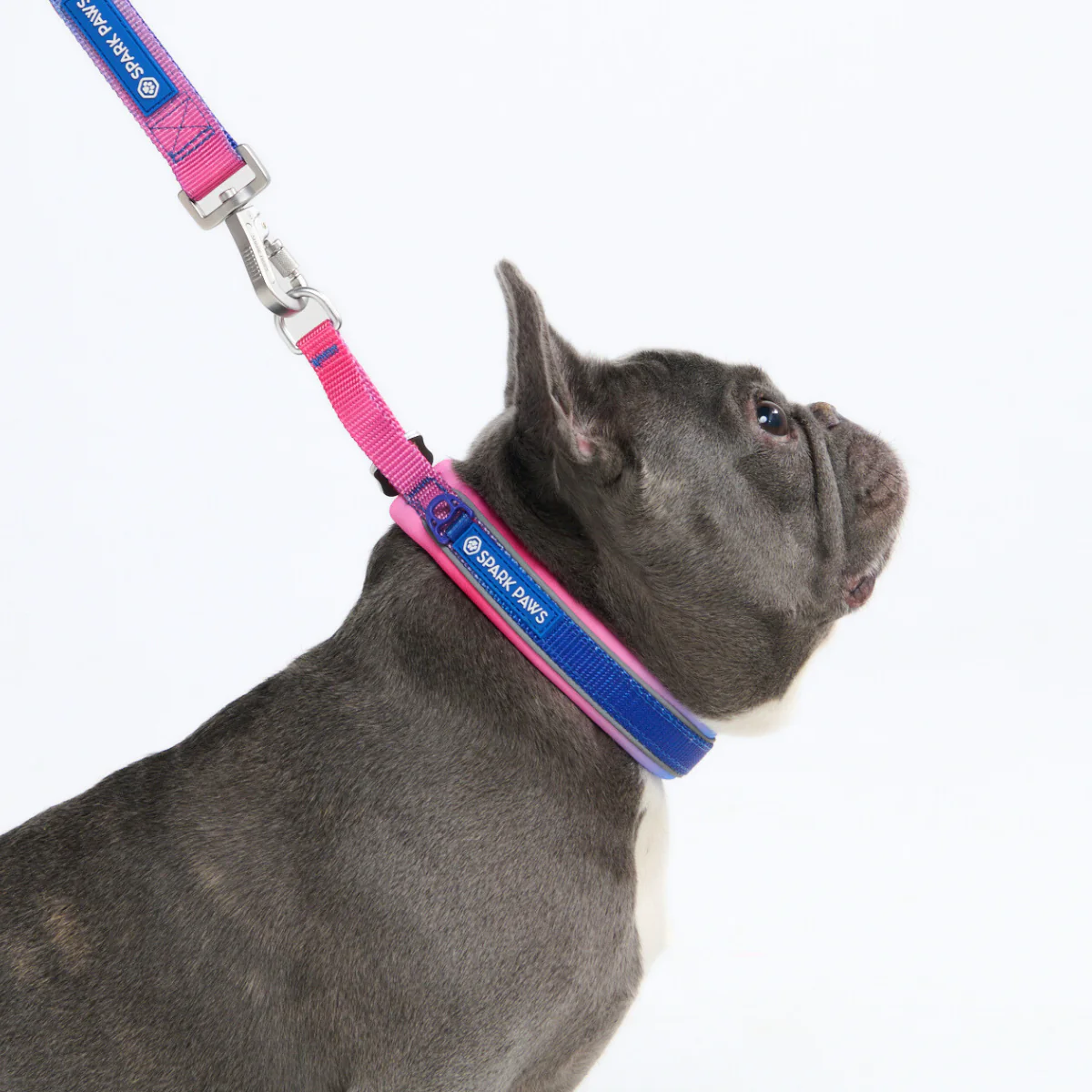 Cushioned Martingale Collars - Image 58