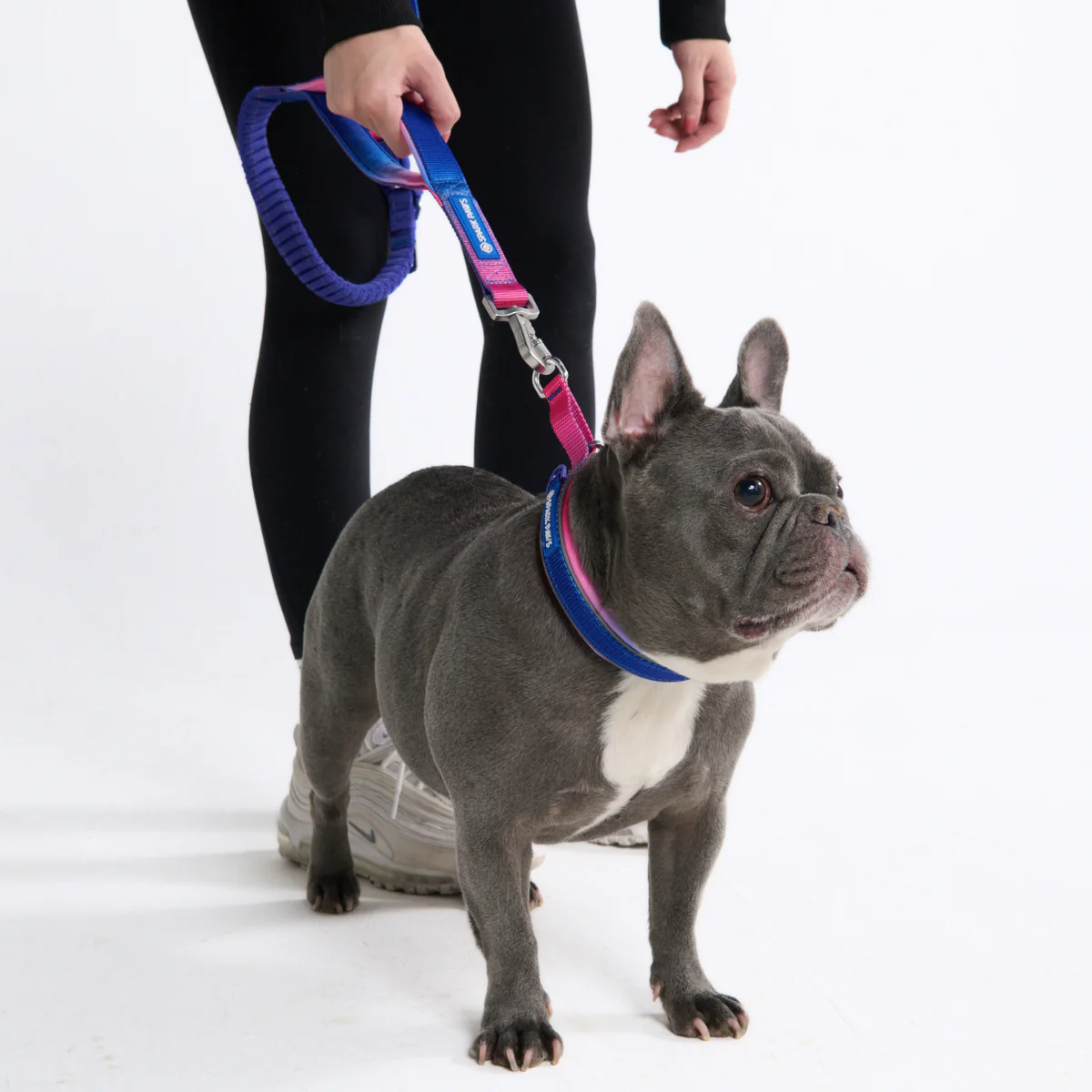 Cushioned Martingale Collars - Image 59