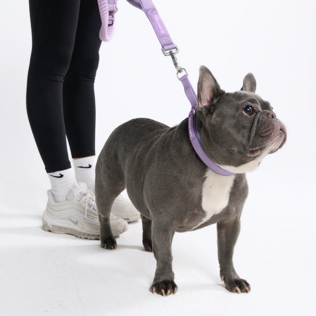 Cushioned Martingale Collars - Image 69