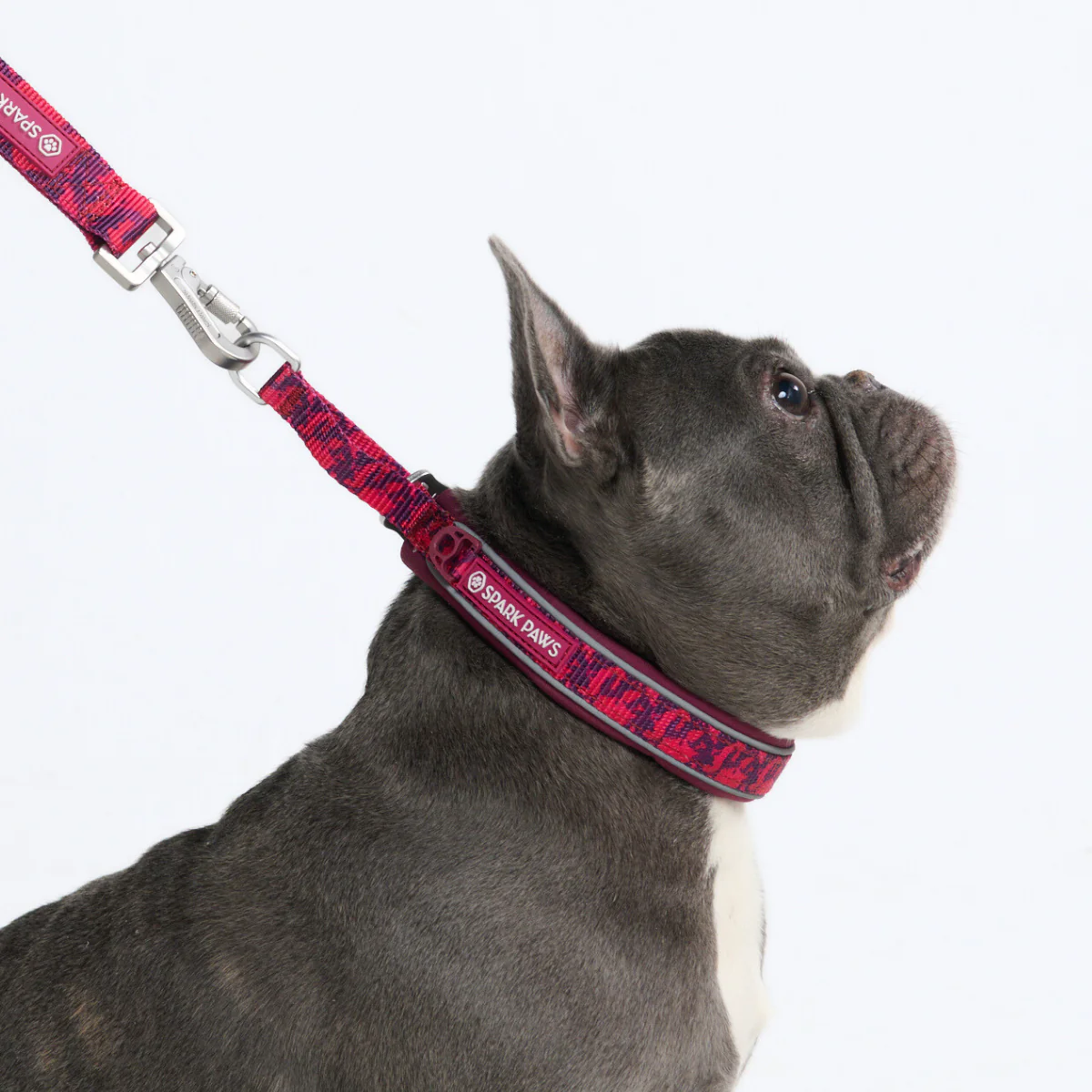 Cushioned Martingale Collars - Image 79