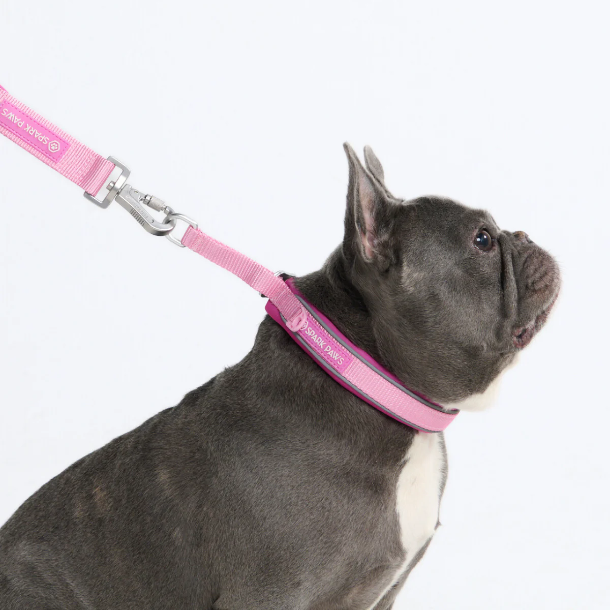 Cushioned Martingale Collars - Image 89