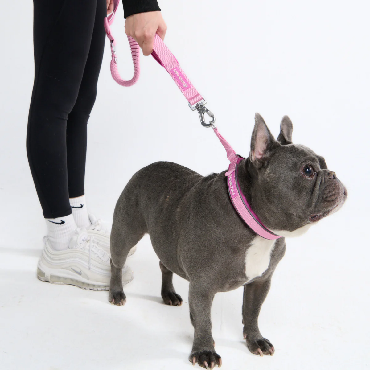 Cushioned Martingale Collars - Image 91