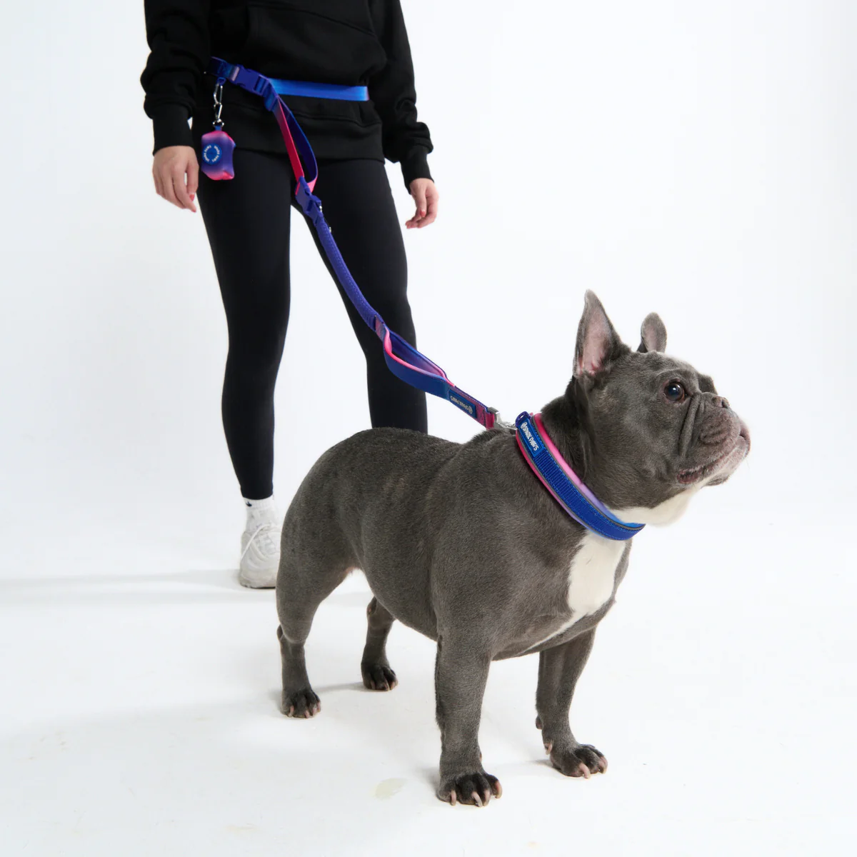 Multipurpose Seatbelt Handsfree Leash & Poop Bag Holder Set - Image 40