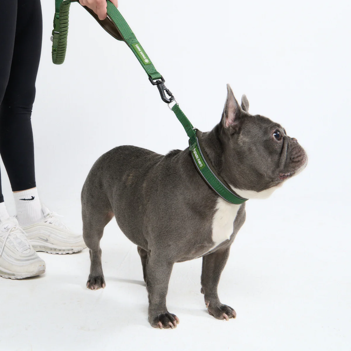 Multipurpose Seatbelt Handsfree Leash & Poop Bag Holder Set - Image 41