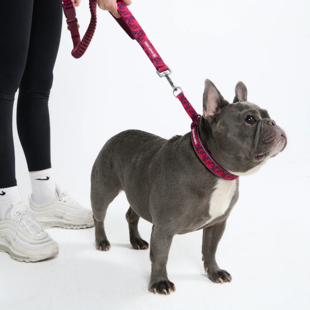 Multipurpose Seatbelt Handsfree Leash & Poop Bag Holder Set - Image 61