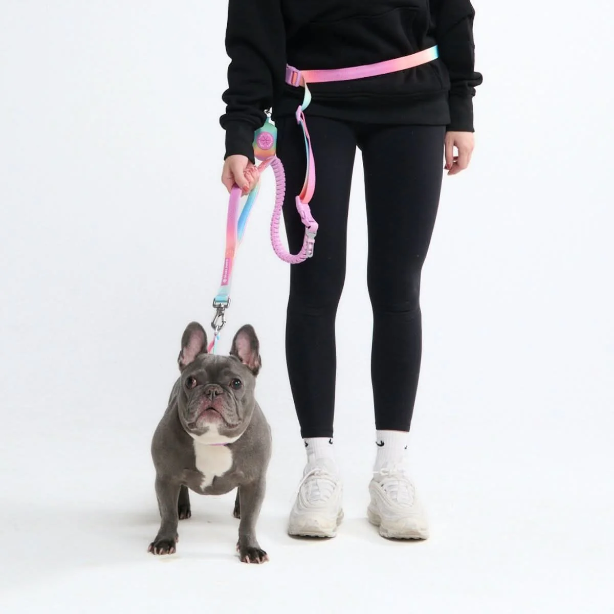 Multipurpose Seatbelt Handsfree Leash & Poop Bag Holder Set - Pastel Icing - Image 2